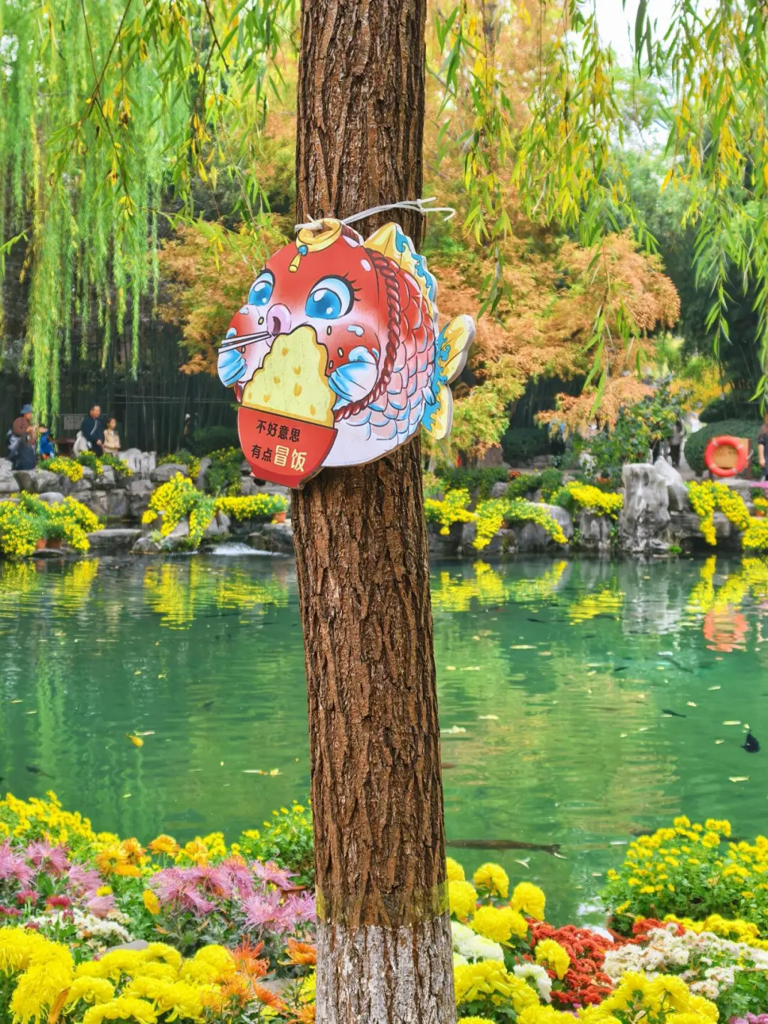 11.15的济南趵突泉 美不胜收