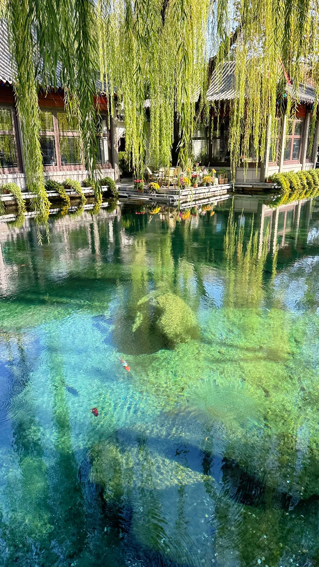 Live图的意义，济南泉水太有生命力了❗️