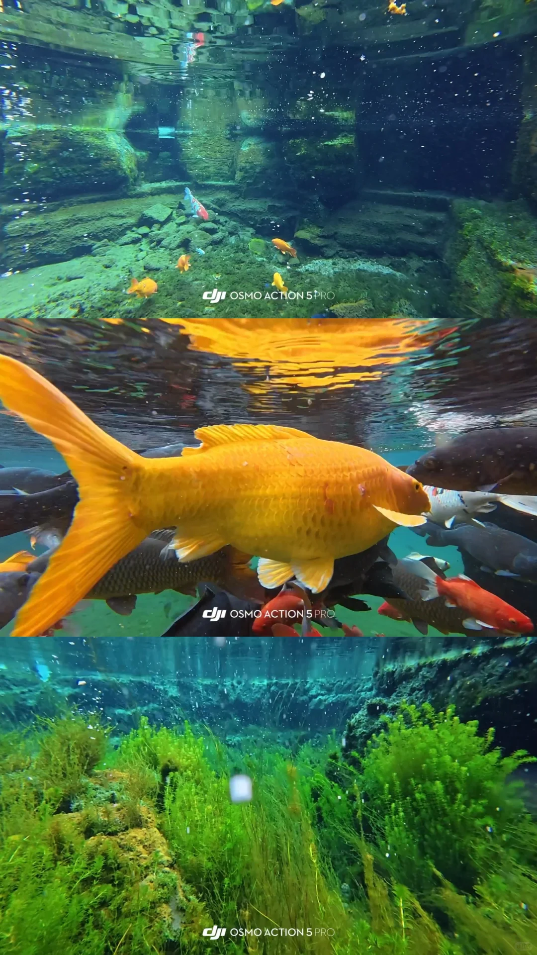 济南一日游暴走攻略 | 超顺动线+深度游玩