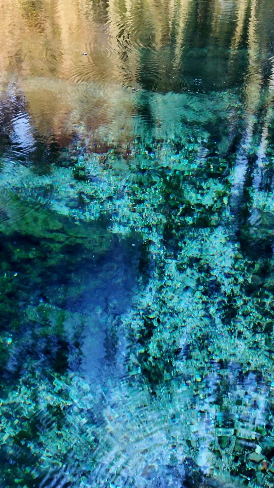 跟风成功！！济南的泉水果然不一般。。。。