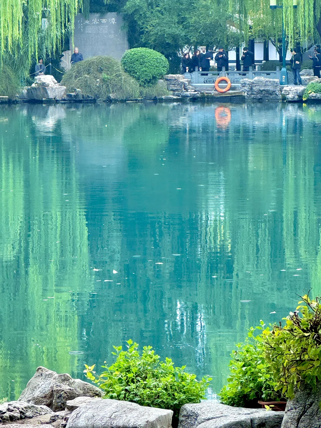 济南最美的地方都是免费的。。。。😰😰