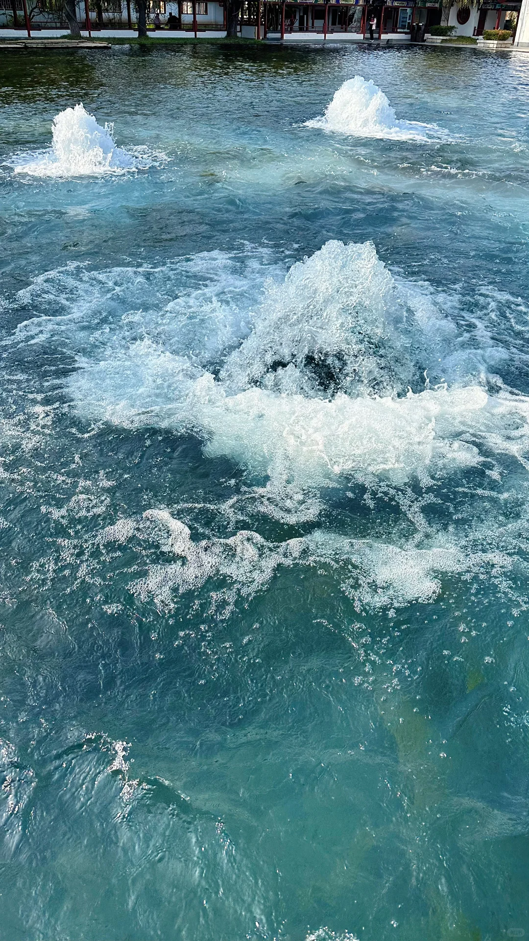 Live图的意义，济南泉水太有生命力了❗️