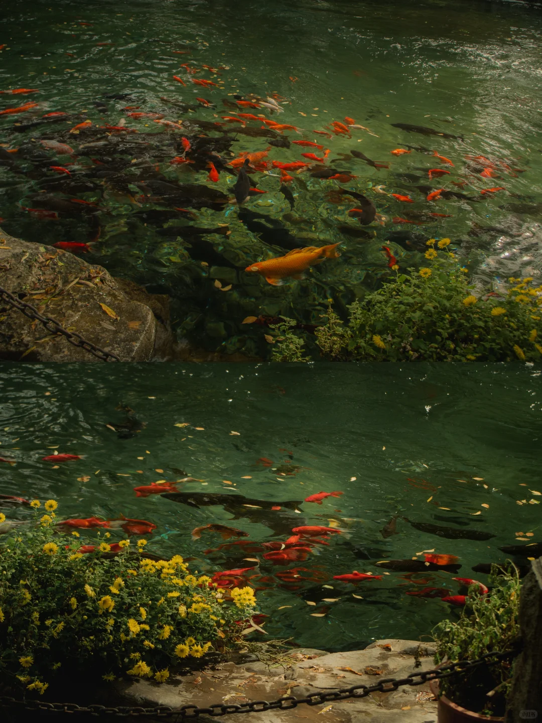 在济南的十二小时