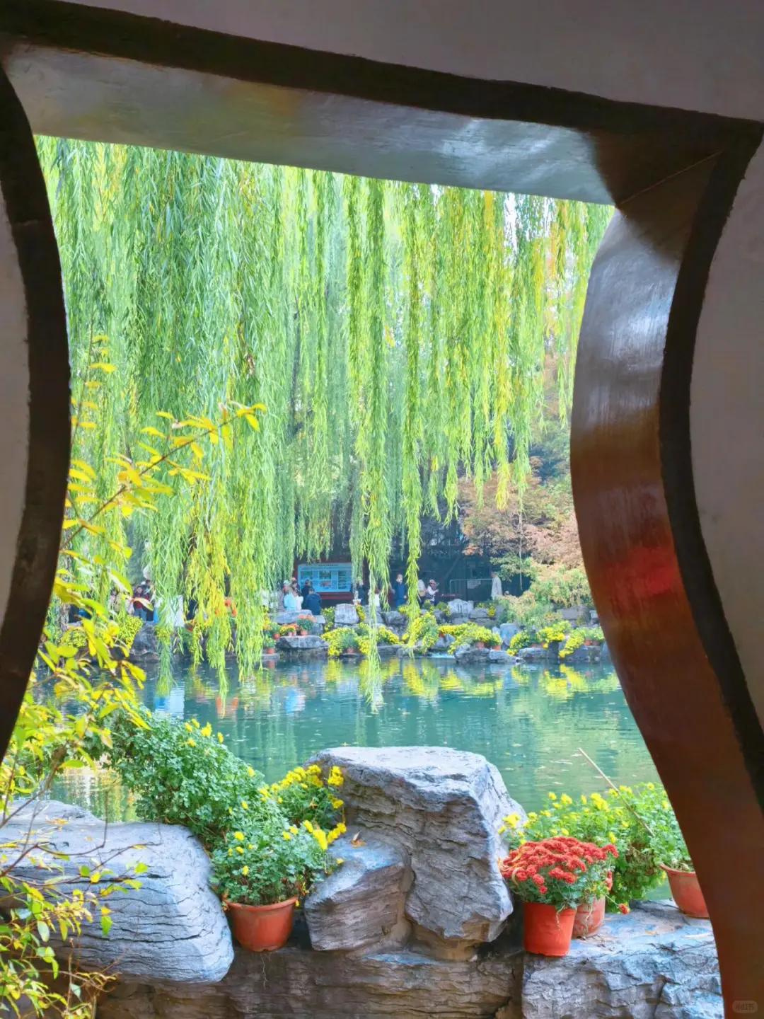 11.15的济南趵突泉 美不胜收