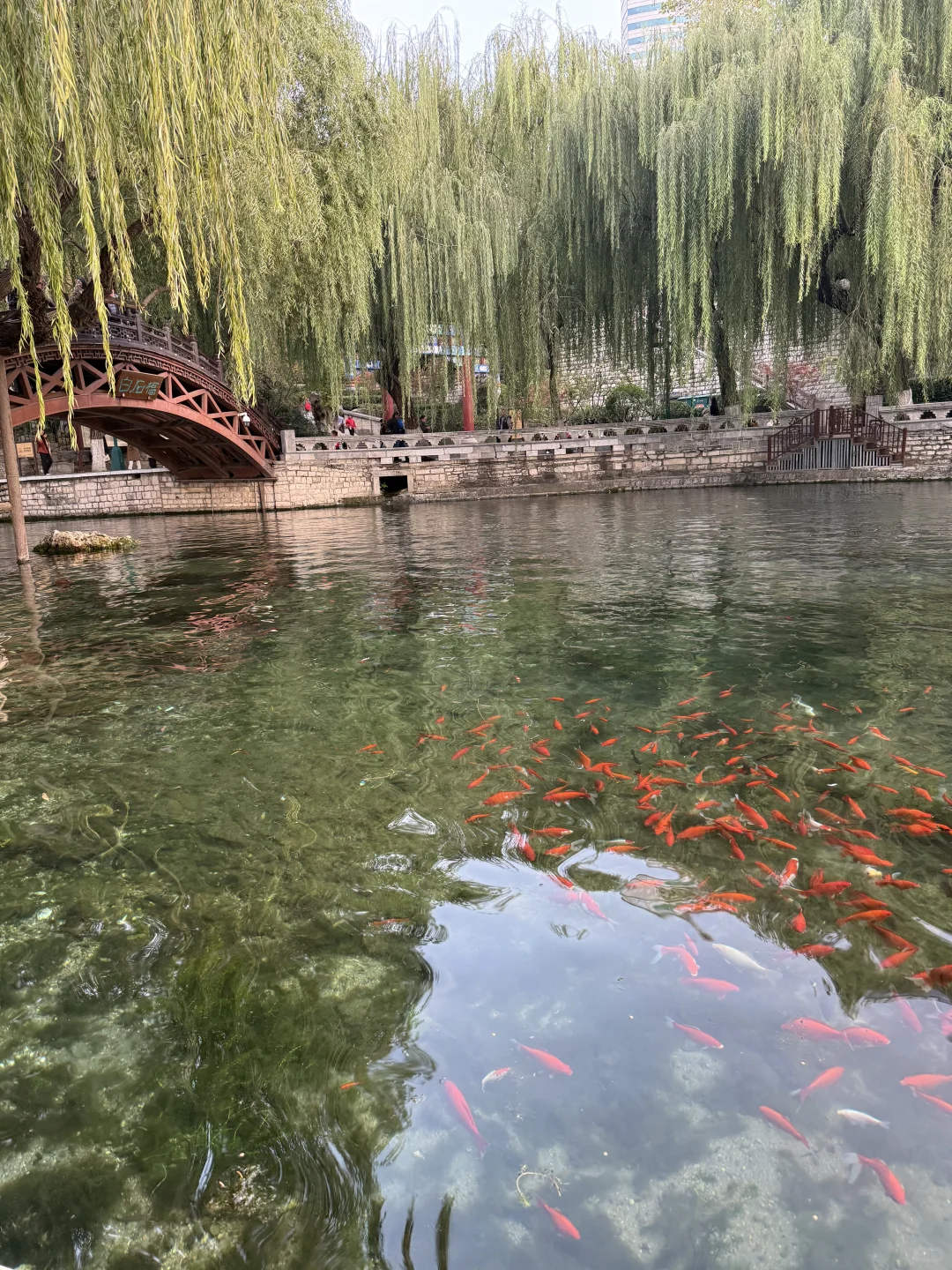 📍济南3天2晚（附攻略）｜老舍笔下的济南