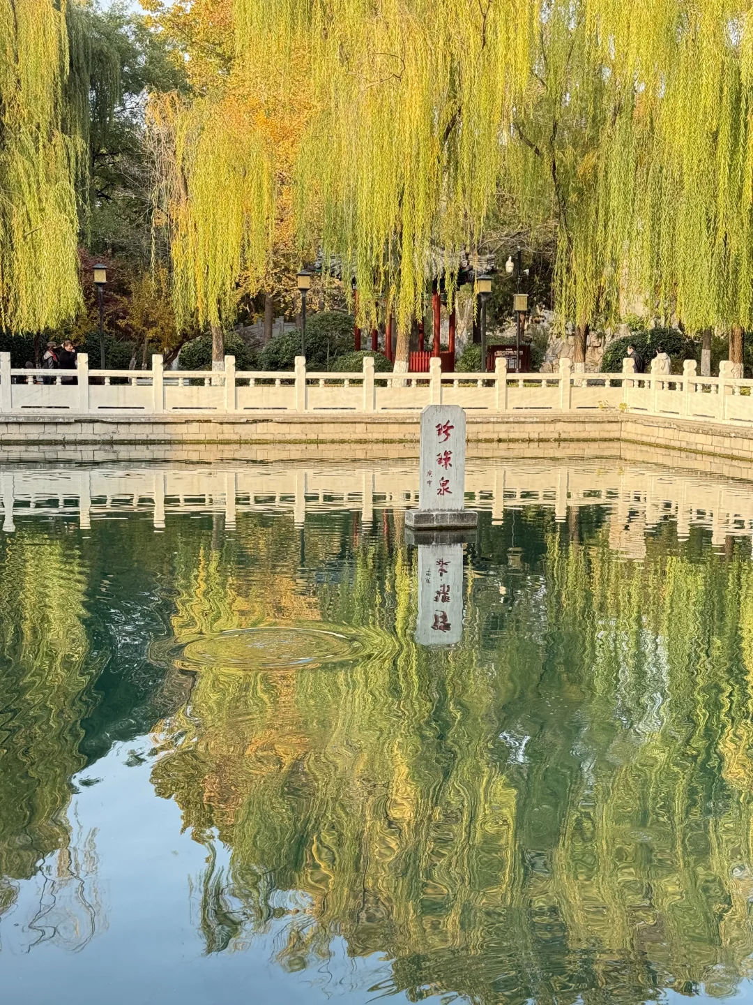 📍济南3天2晚（附攻略）｜老舍笔下的济南