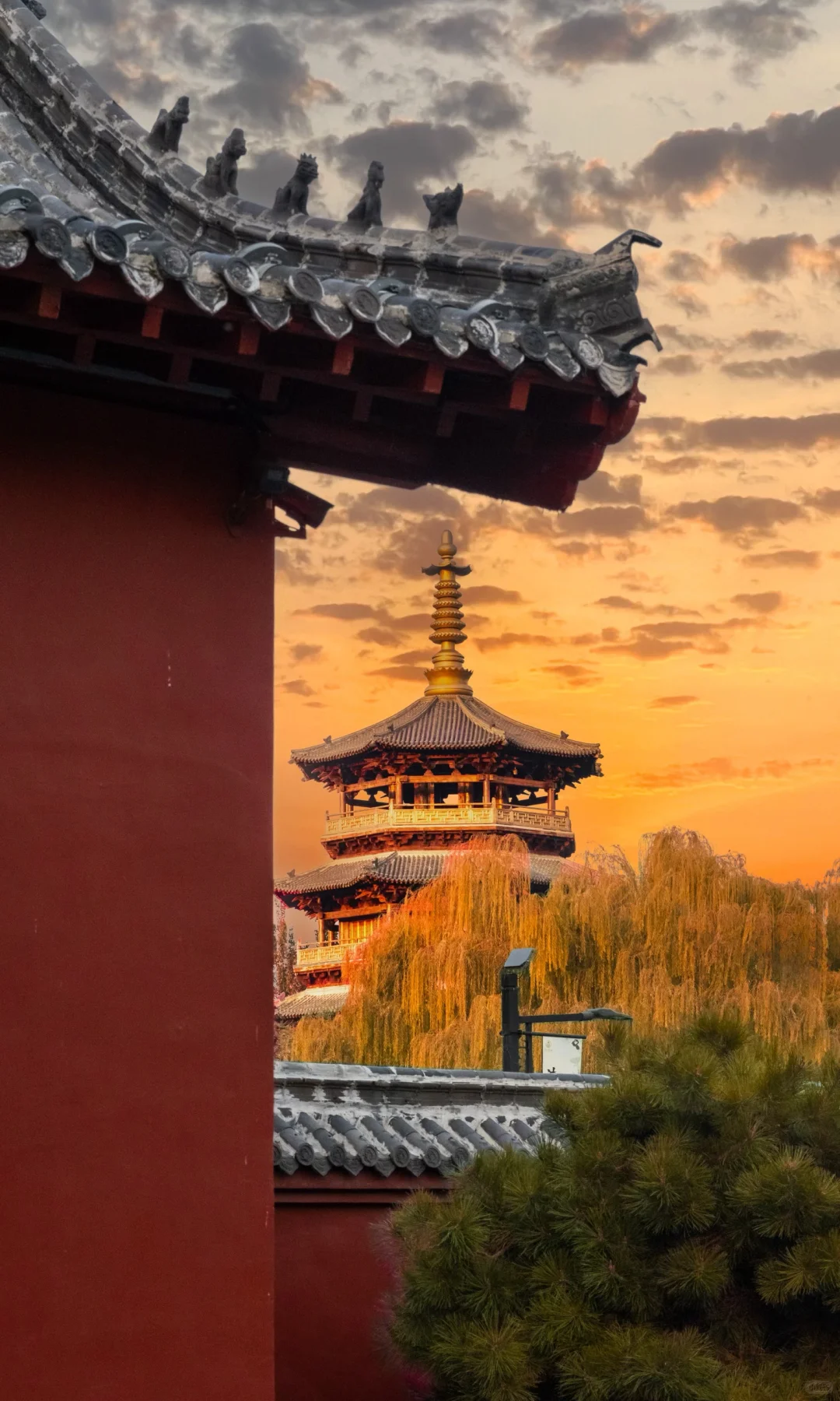 不是江南是济南！！！秋景和泉水美到疯狂！！！