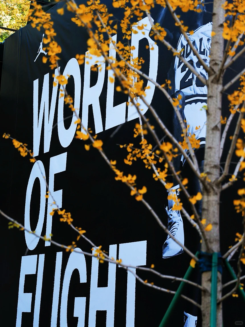 山东首家！济南也要有WOF门店了？！😍