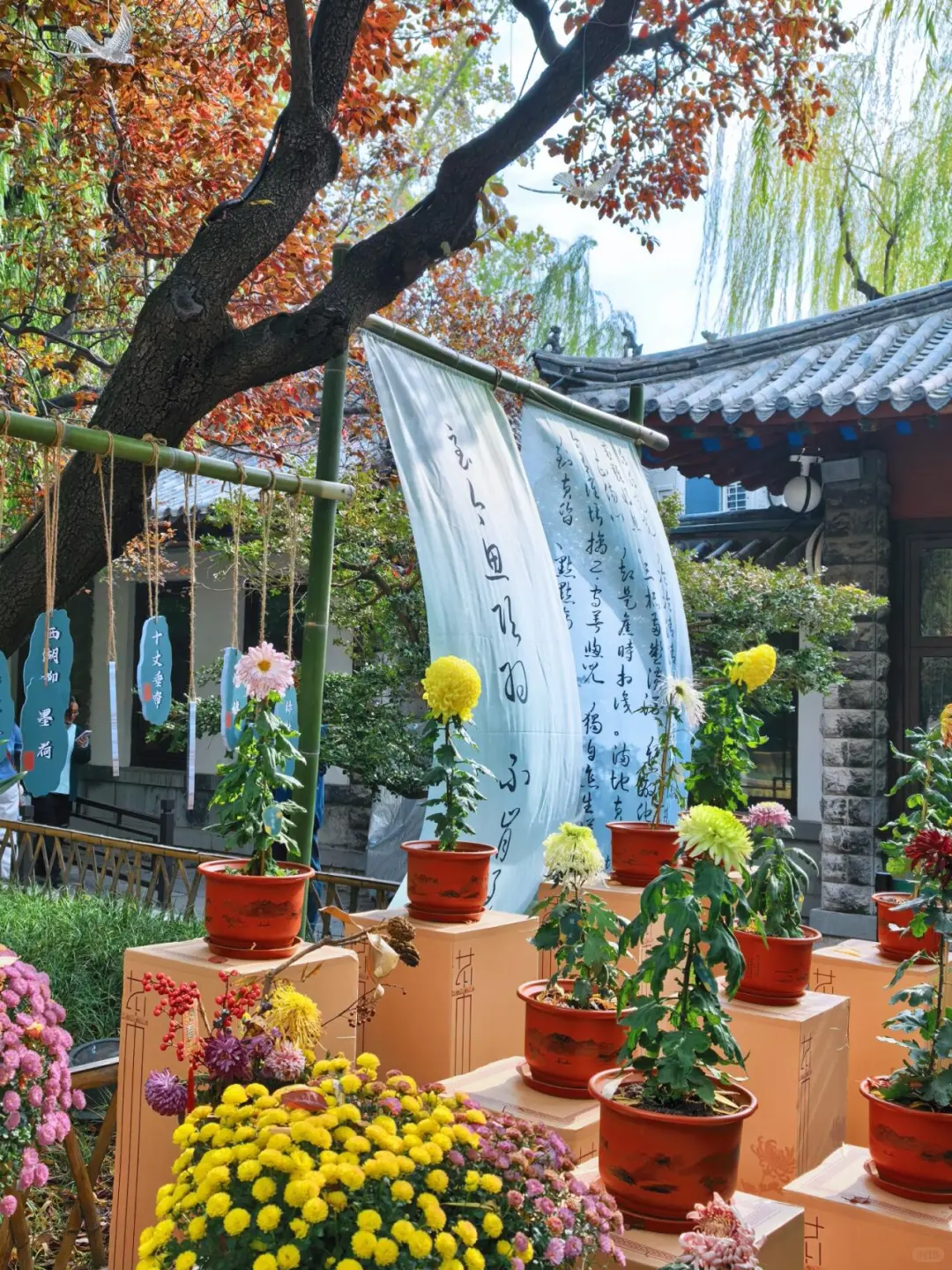 11.15的济南趵突泉 美不胜收