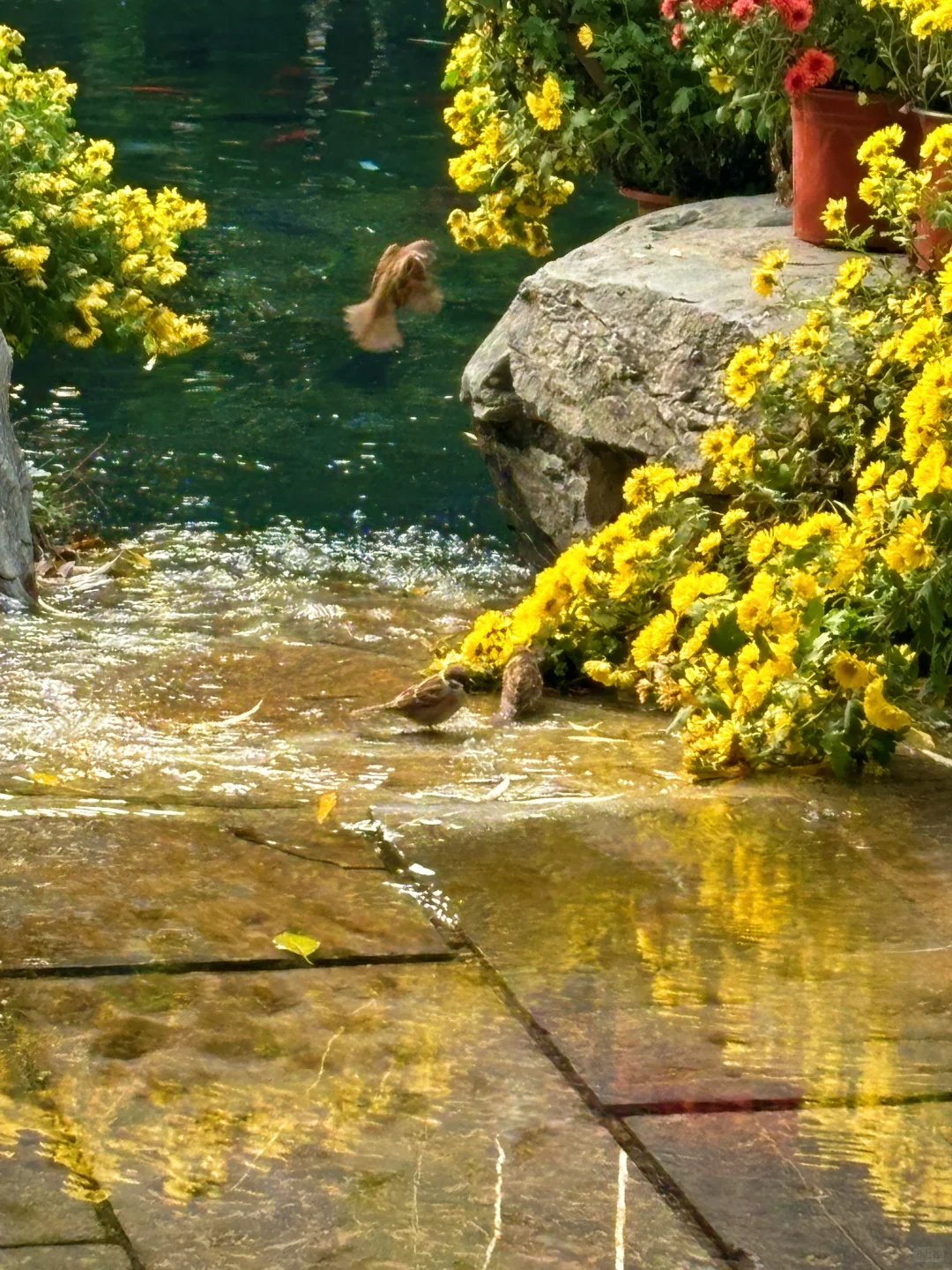 11.15📍济南现状（已老实）内容很真