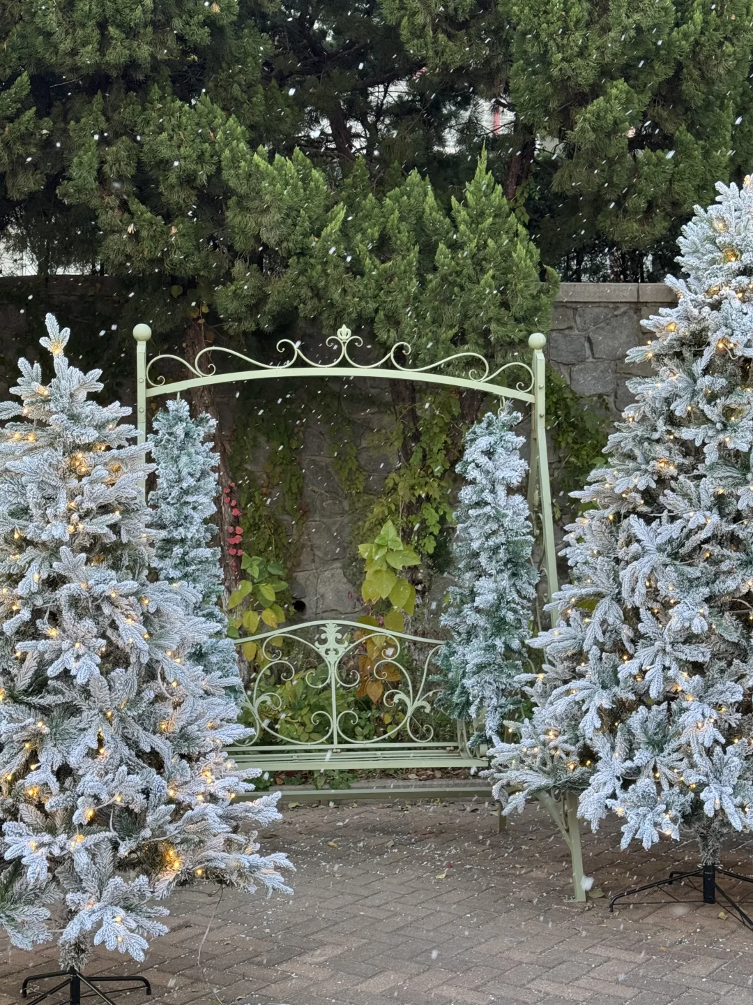 Naturing｜空间 ｜圣诞 烟台初雪