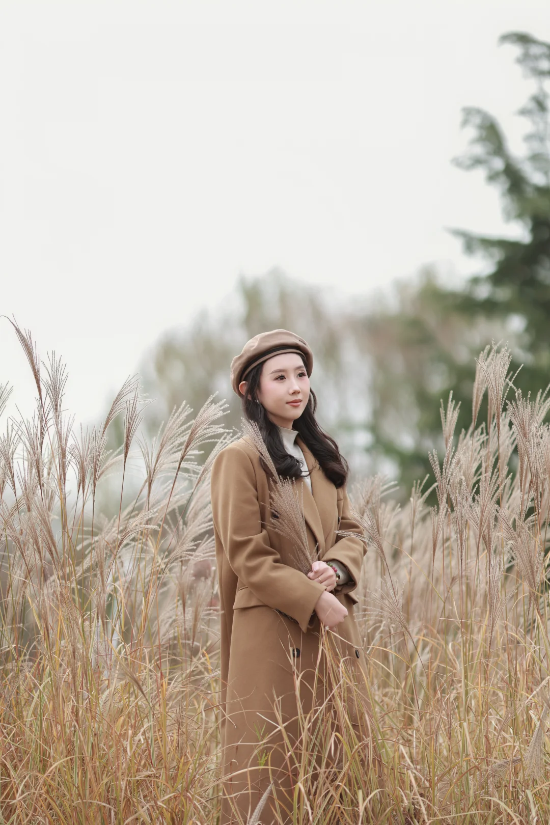 秋天的芦苇太美了吧｜烟台写真约拍｜芦苇写真