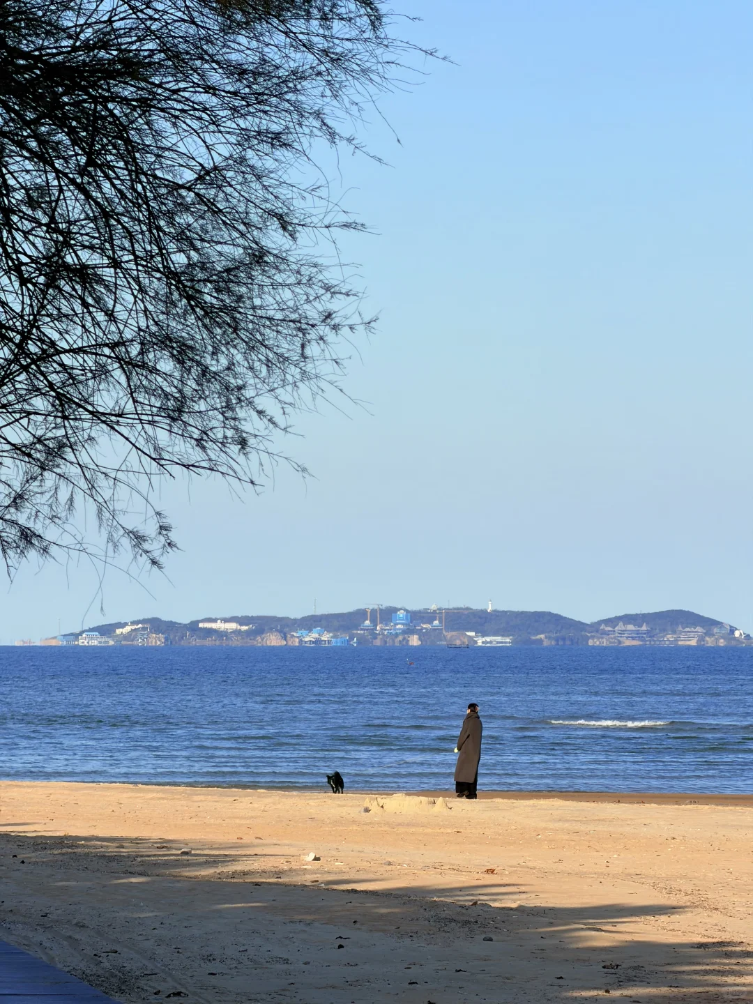 我他妈的又一个人来烟台海边看海（11.10号）