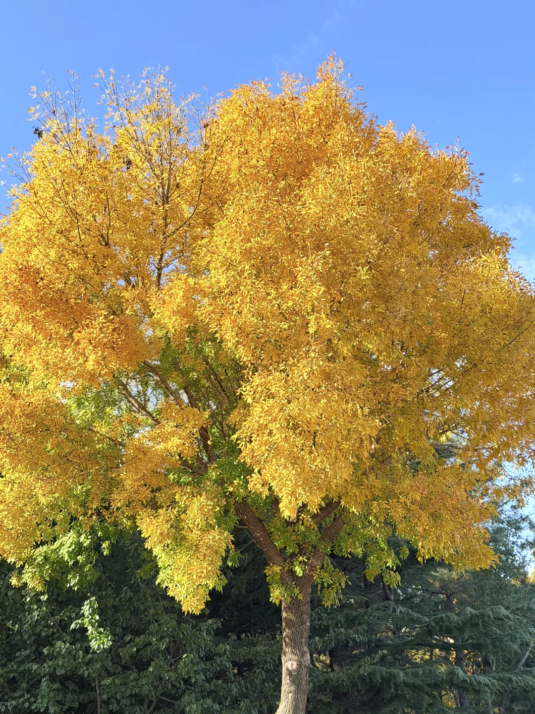 我他妈的又一个人来烟台海边看海（11.10号）