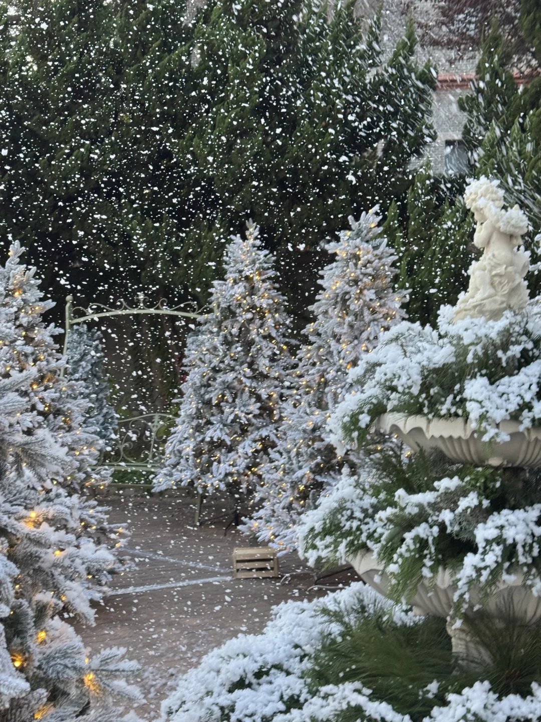 Naturing｜空间 ｜圣诞 烟台初雪