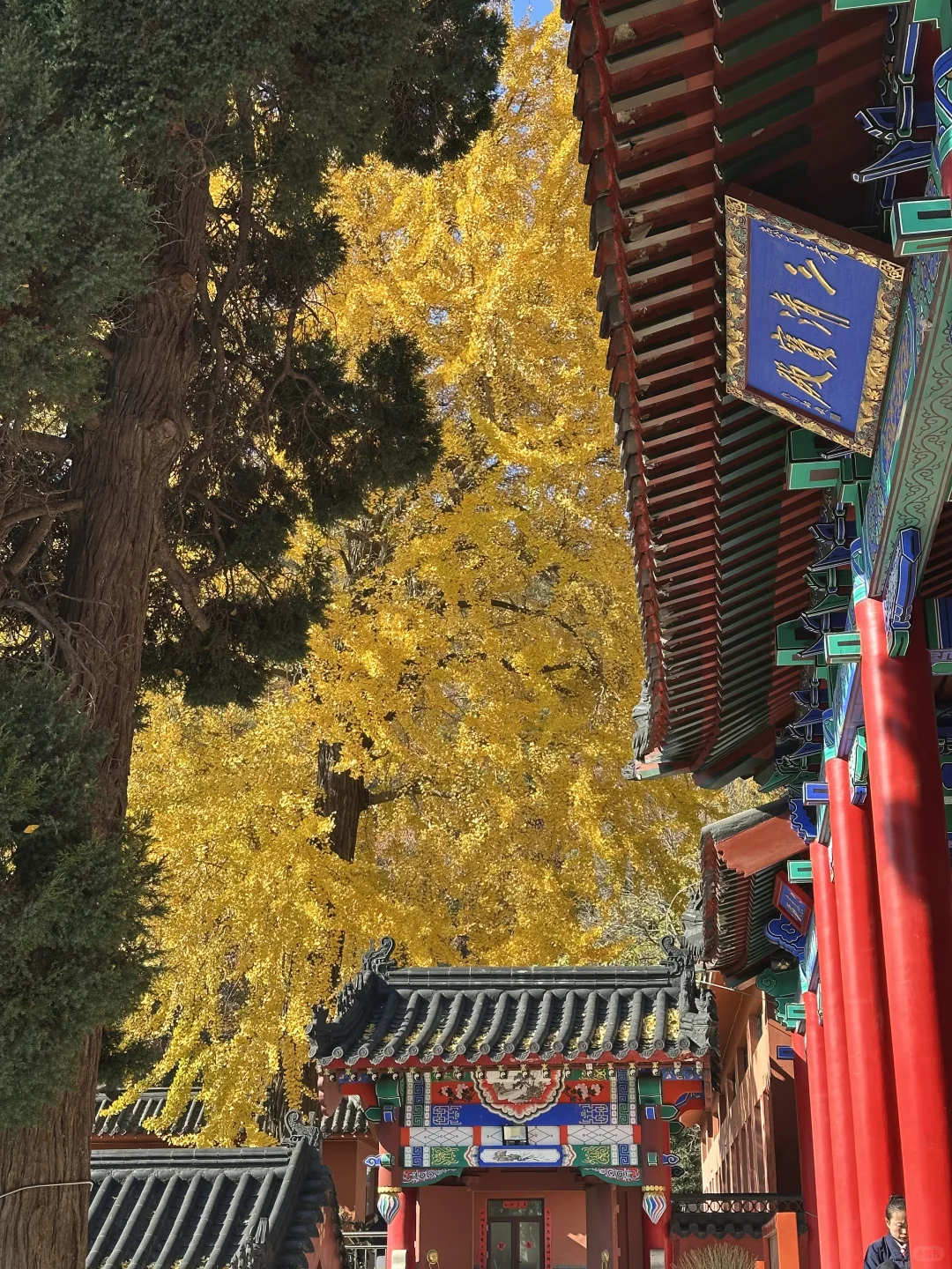 烟台！我们有自己的千里江山图（最后！！！！！！