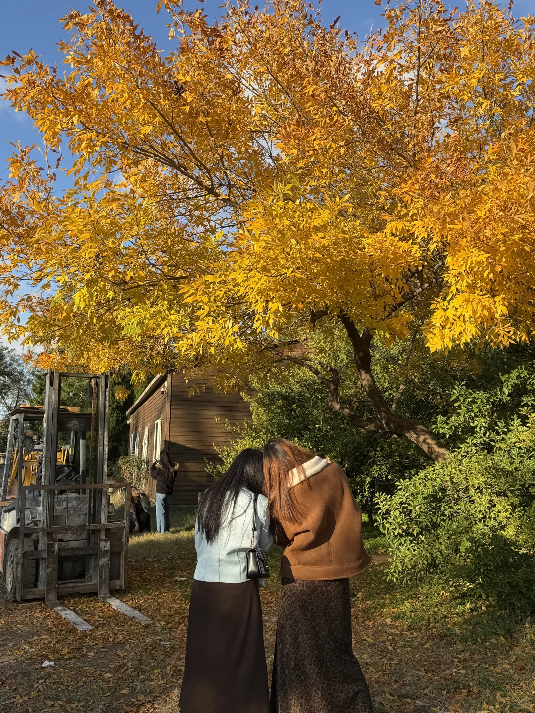 live实况🌊谁懂今天烟台海边的含金量！！！