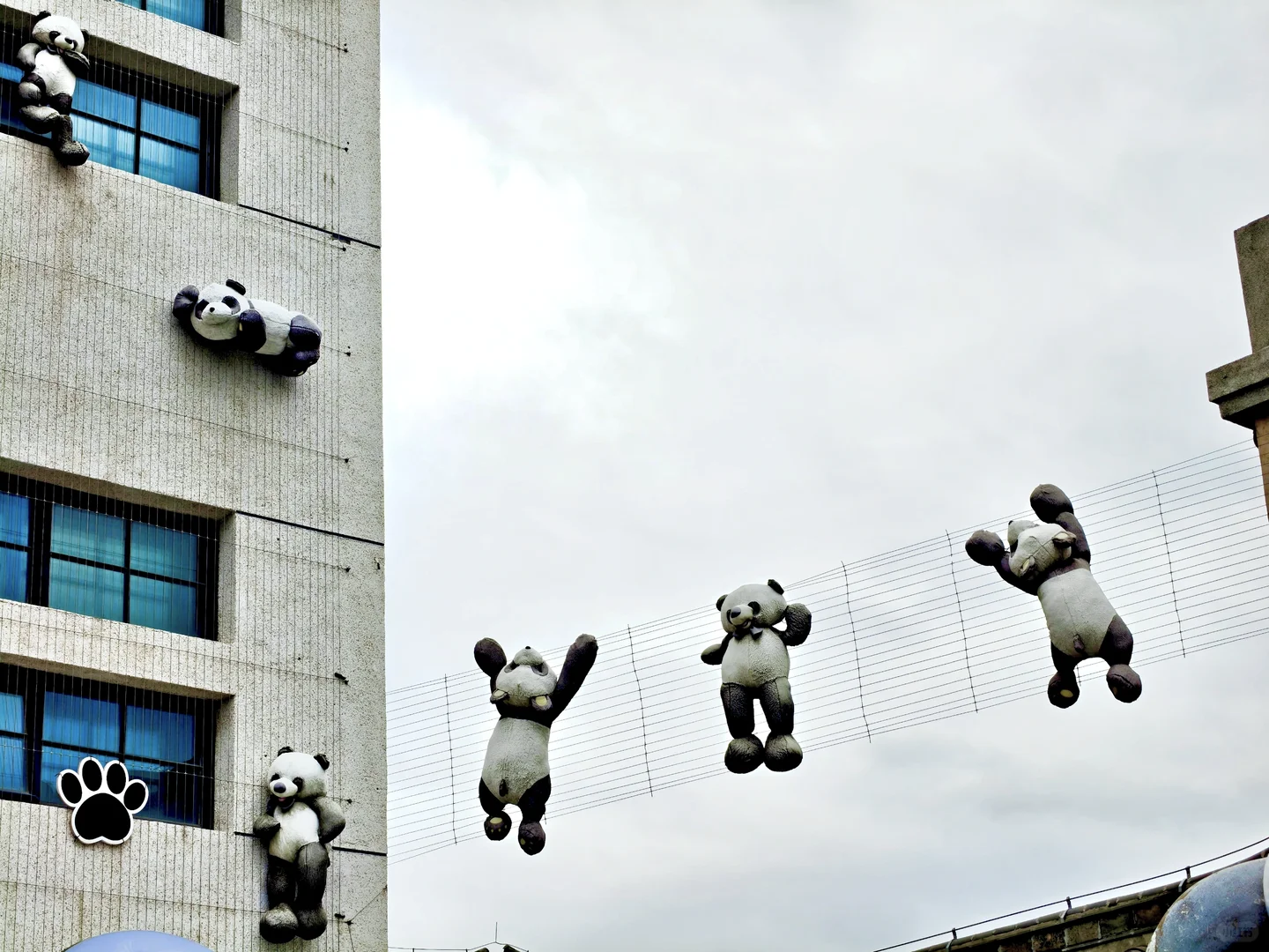 11月的烟台，你拿什么留住我