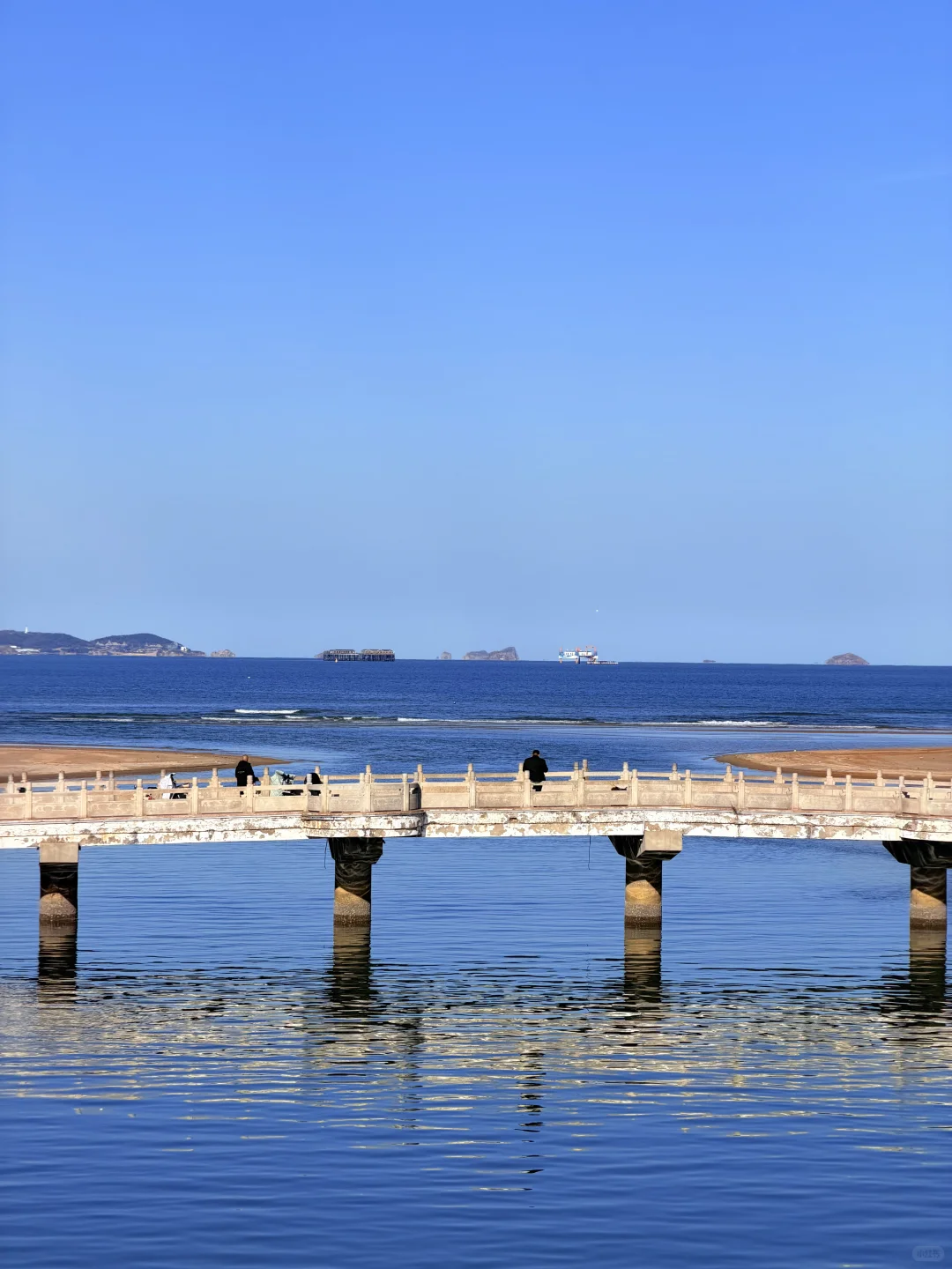 我他妈的又一个人来烟台海边看海（11.10号）