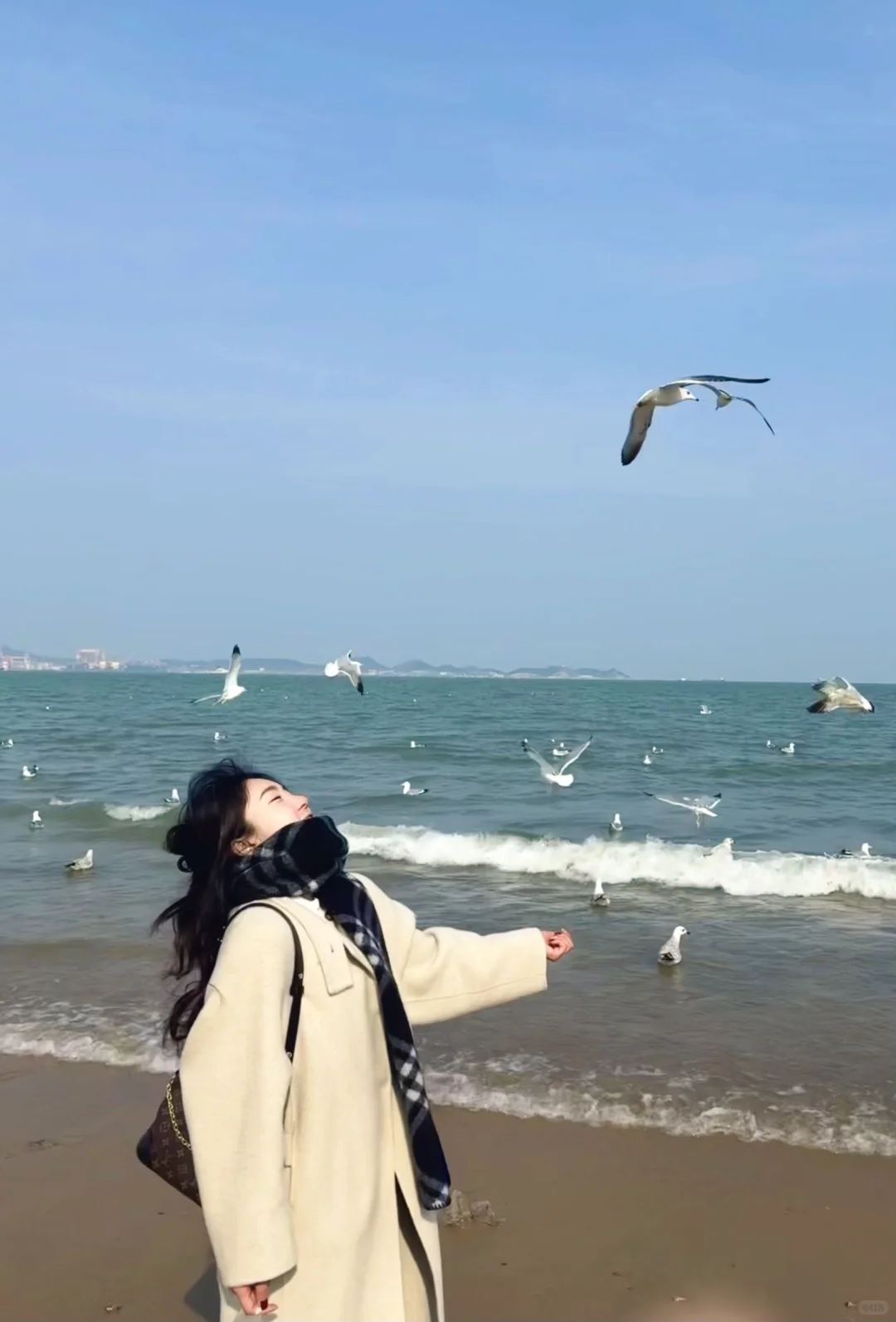 淡季的烟台真的不会惩罚不做攻略的人！