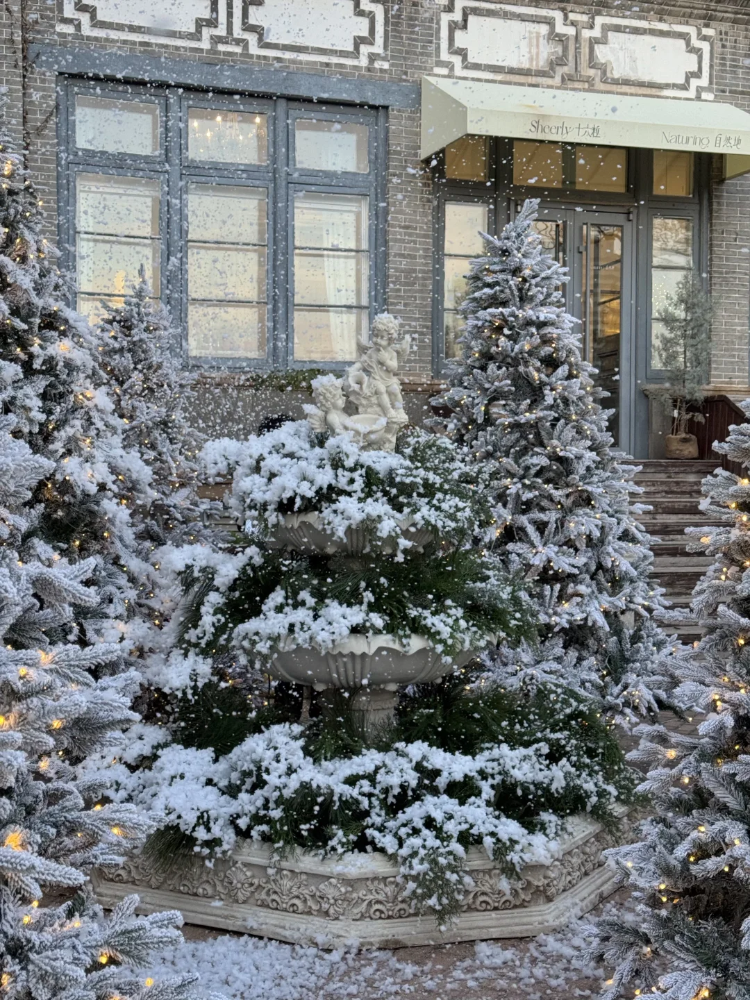 Naturing｜空间 ｜圣诞 烟台初雪