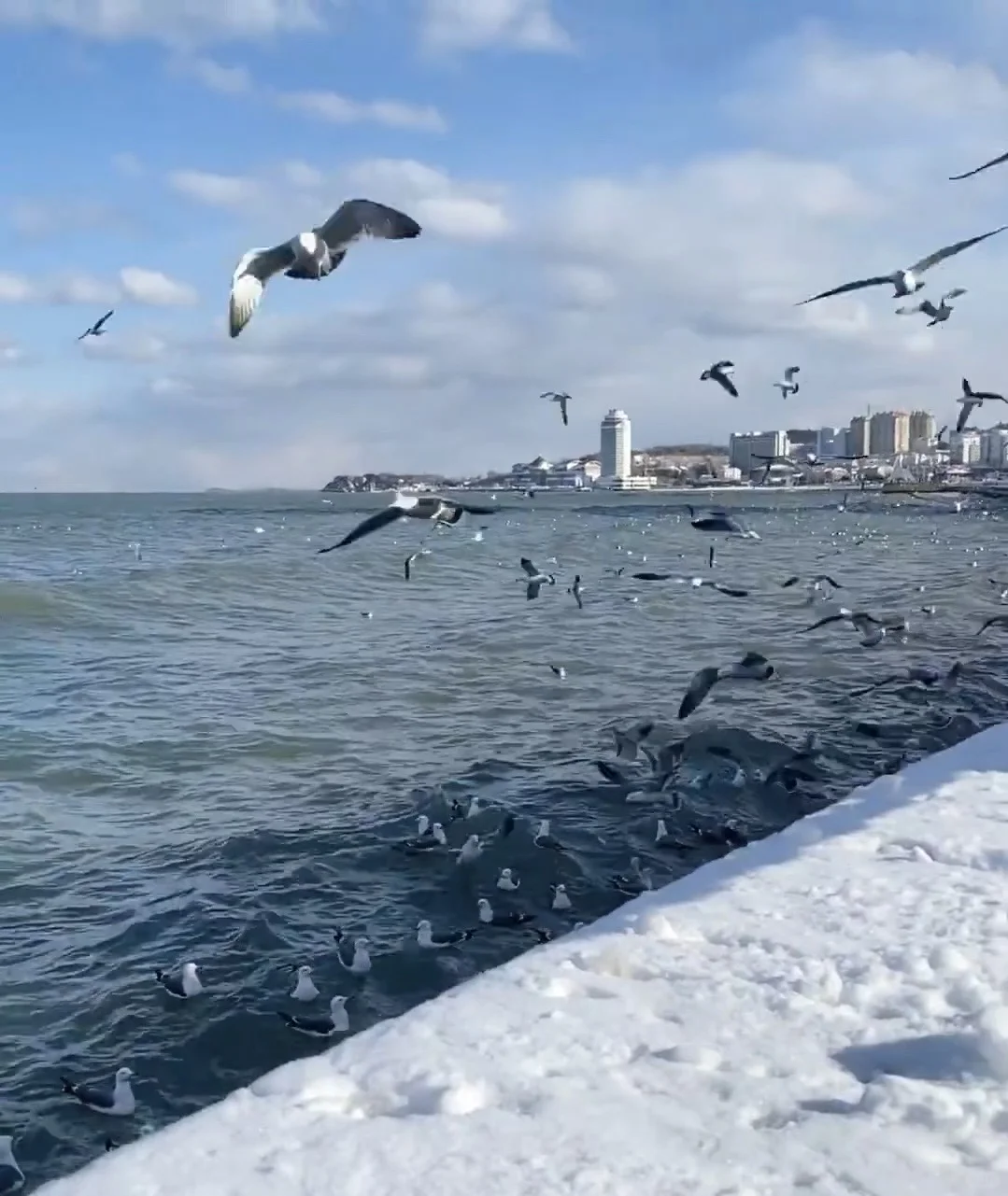 谁不喜欢冬天的烟台呢？