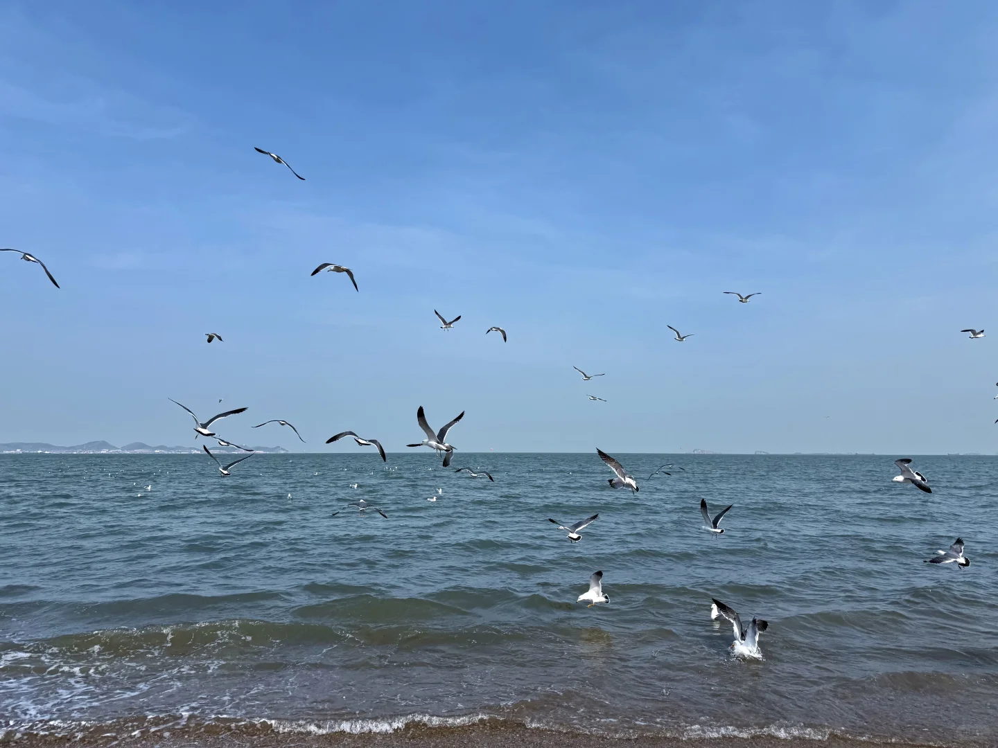 淡季的烟台真的不会惩罚不做攻略的人！