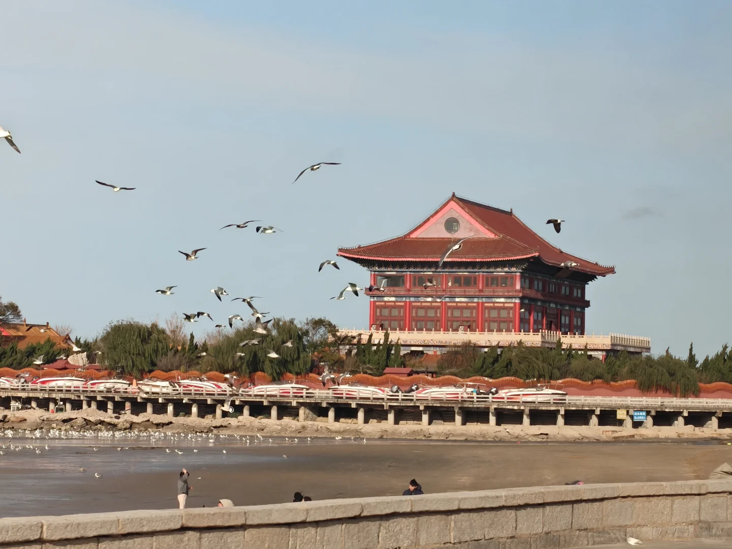 11月的烟台，你拿什么留住我