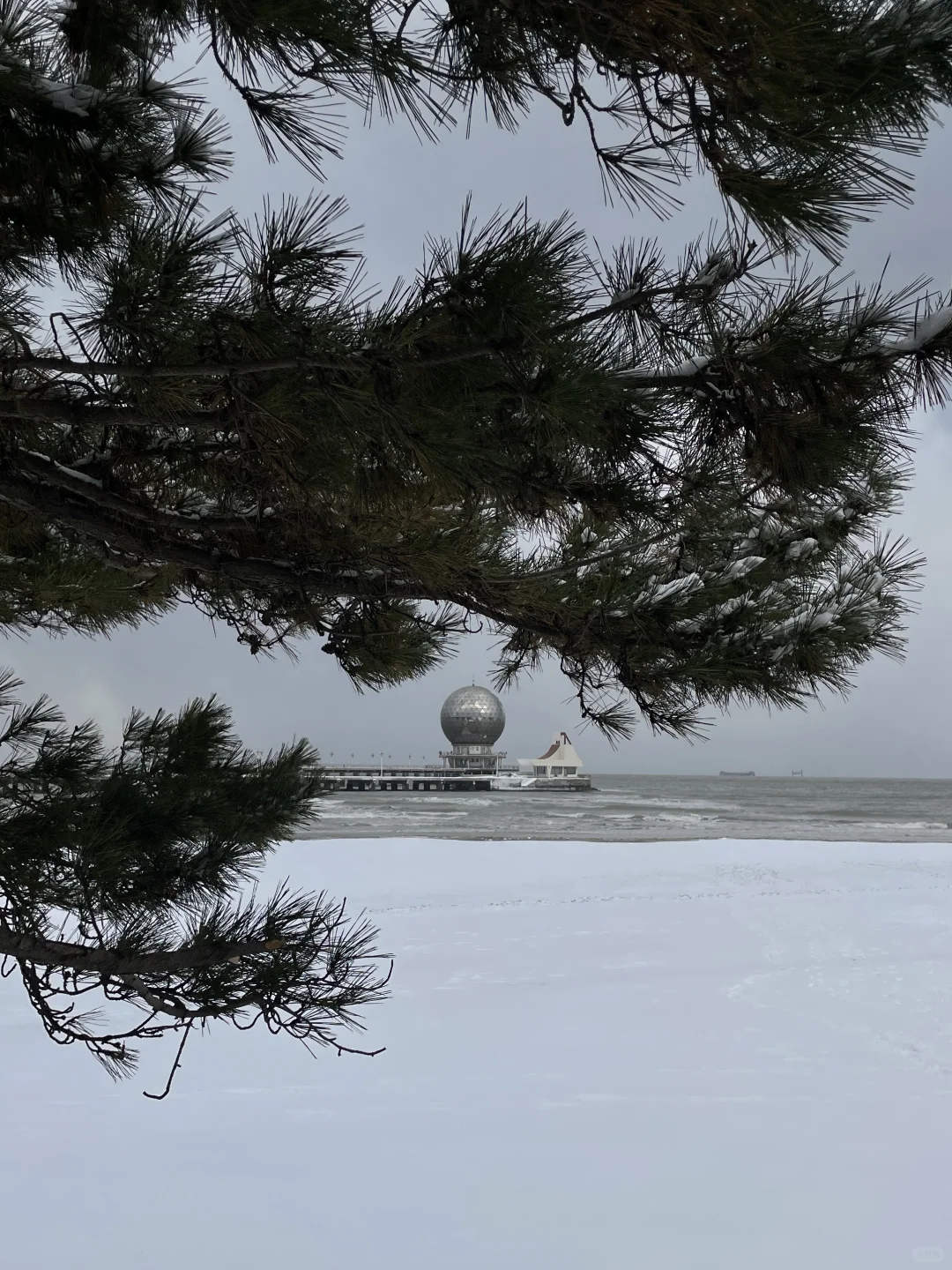 如果你也喜欢烟台的冬天