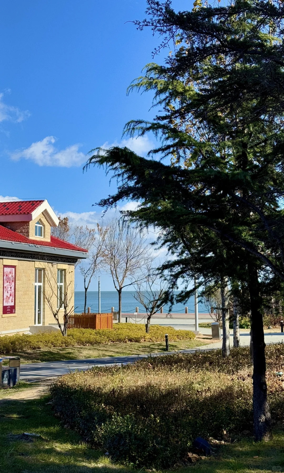 🌊已经开始期待 冬天的烟台！