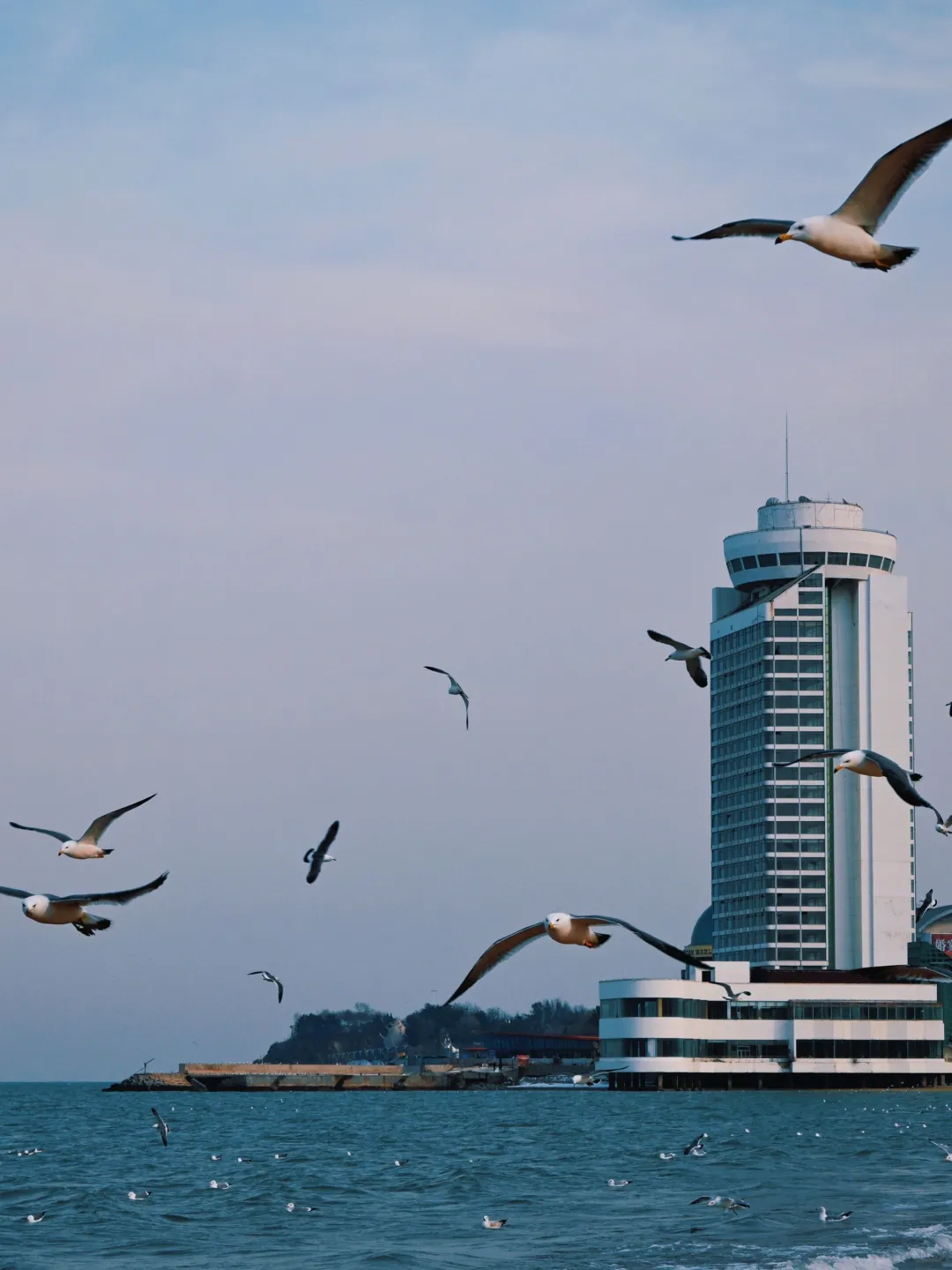 中国宜居城市四十六：烟台