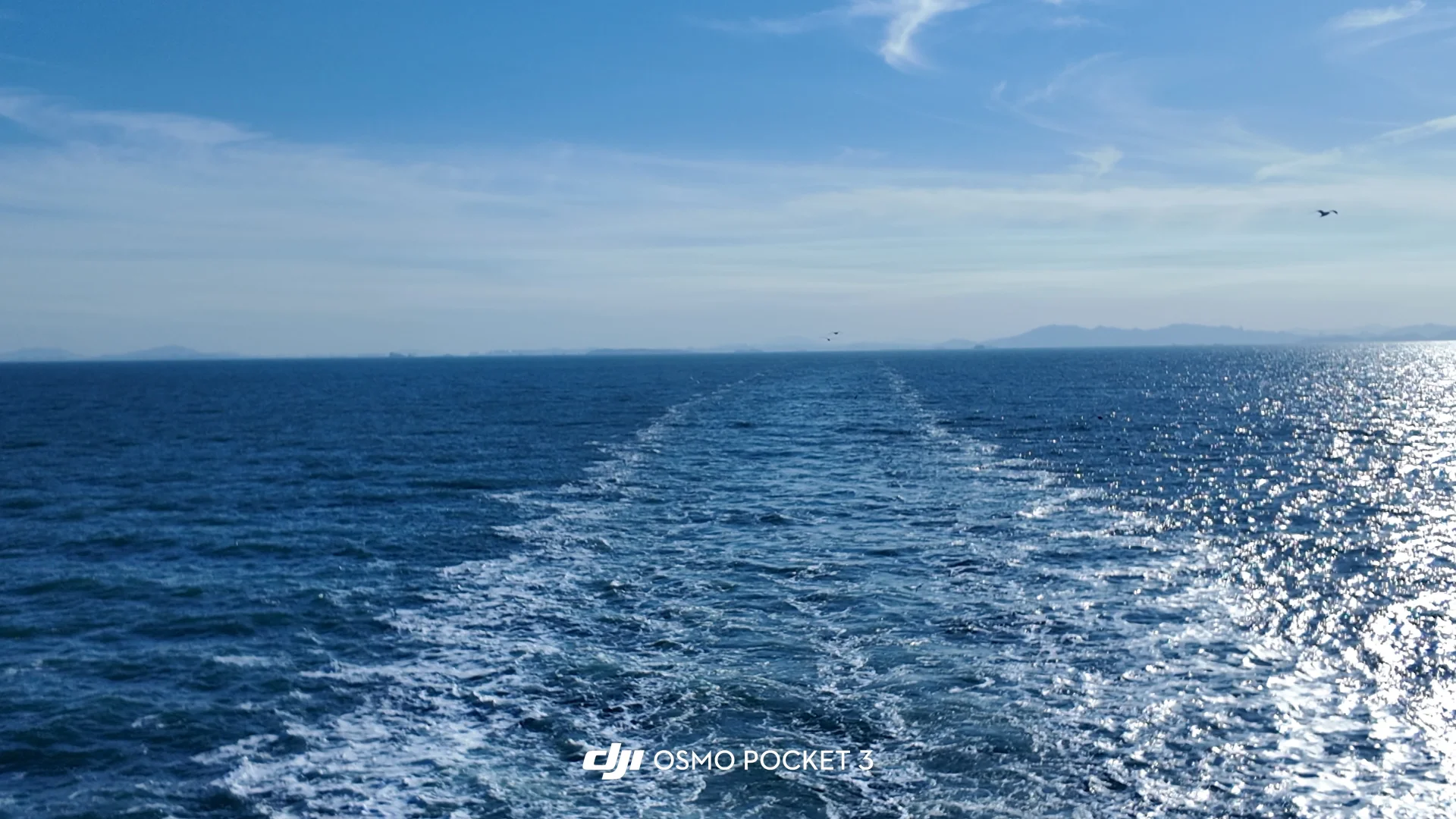 与世界失联的七小时🌊🚢