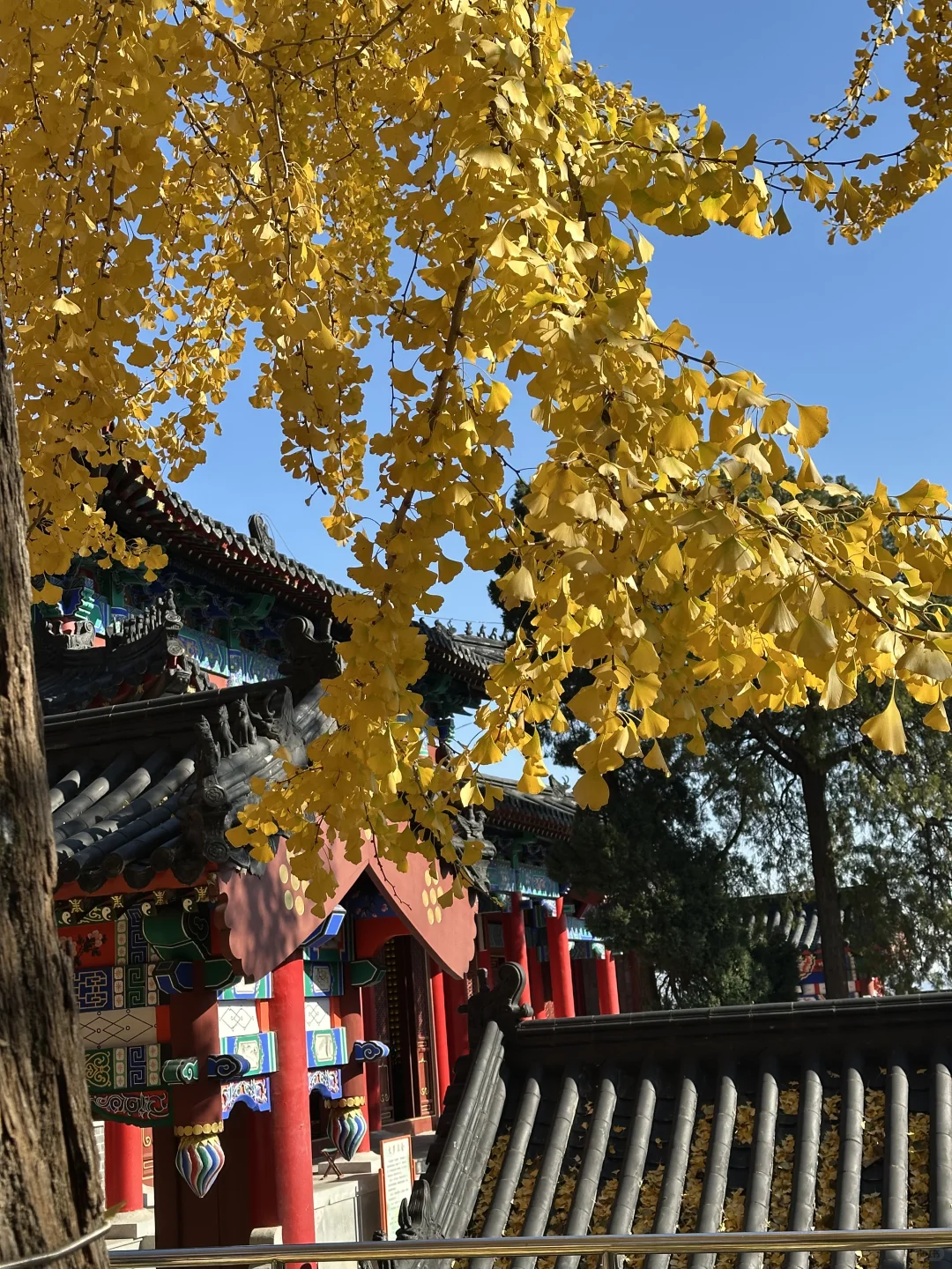 烟台！我们有自己的千里江山图（最后！！！！！！