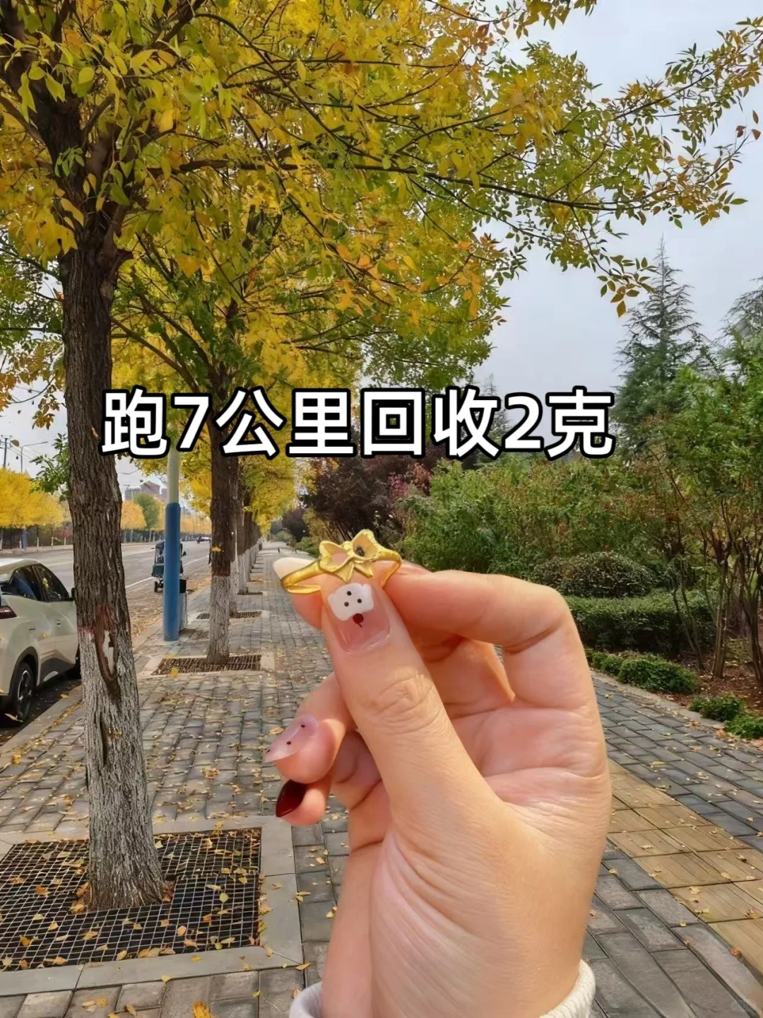 坐标烟台🎈跑7公里收了2克