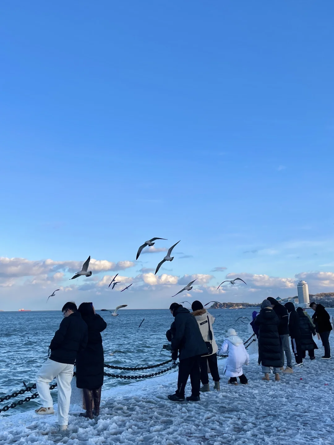 如果你也喜欢烟台的冬天