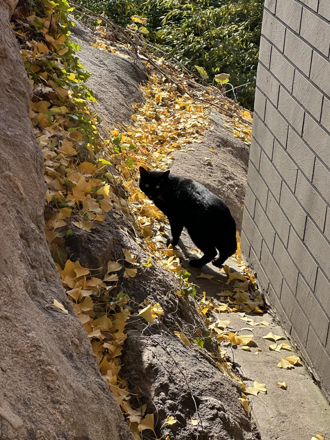 烟台！我们有自己的千里江山图（最后！！！！！！
