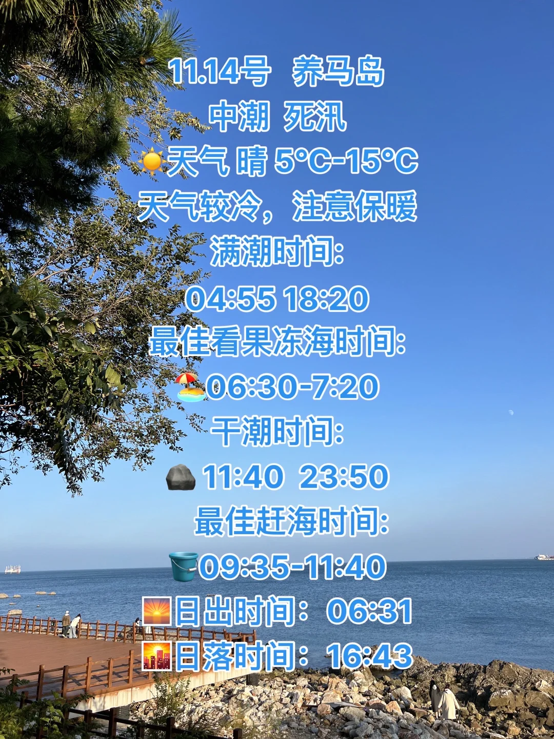 11.14号烟台养马岛天气及潮汐预测