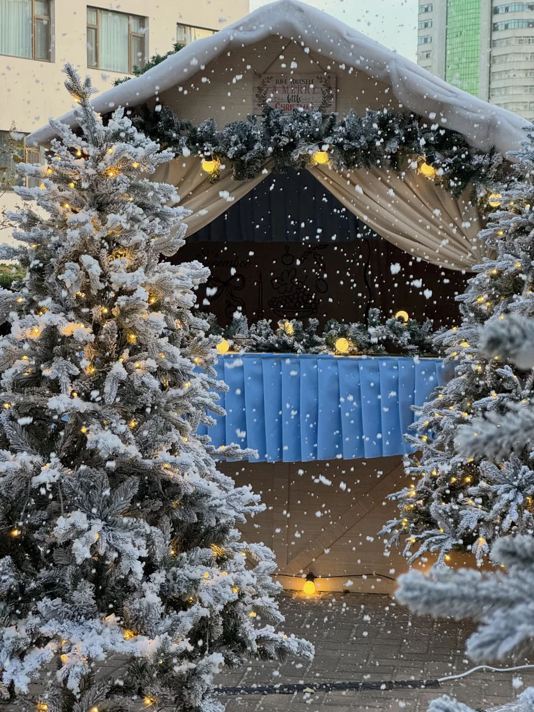 Naturing｜空间 ｜圣诞 烟台初雪