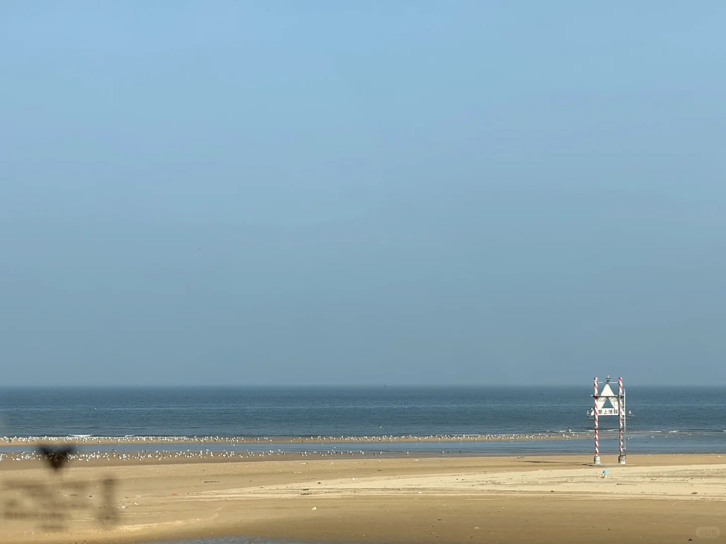 🍂 烟台十一月漫游指南：山海尽染的醉人