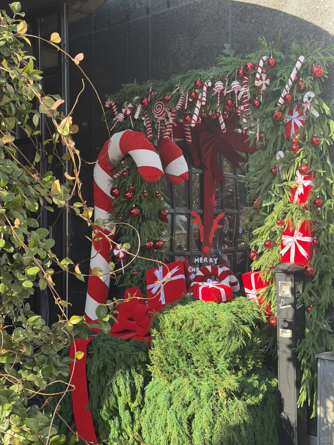 烟台5G进入圣诞！！水晶球de梦境❄️