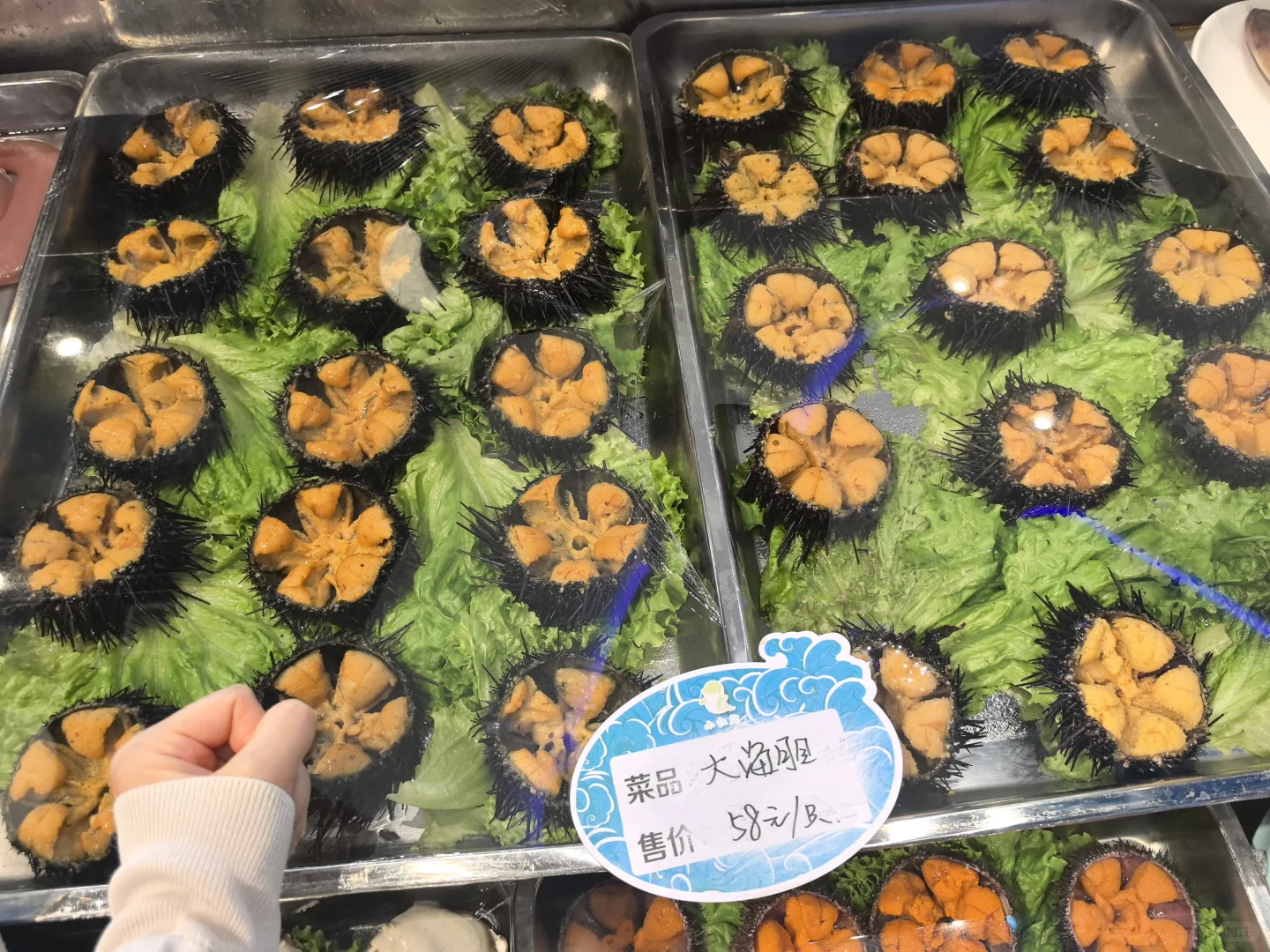 十三太保在烟台