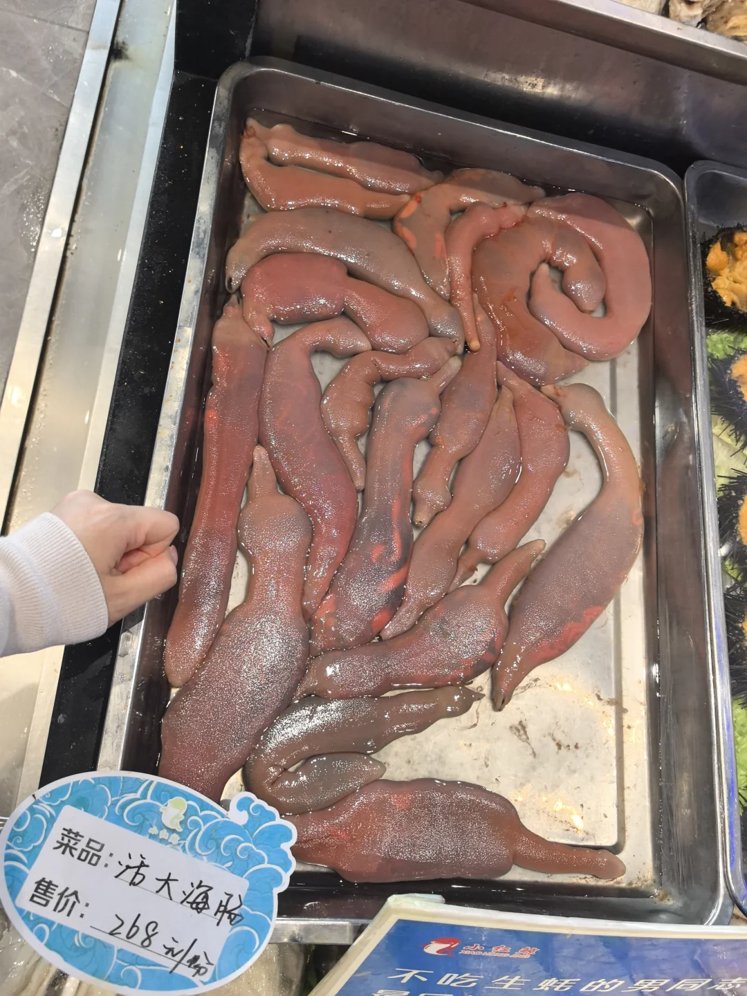 十三太保在烟台