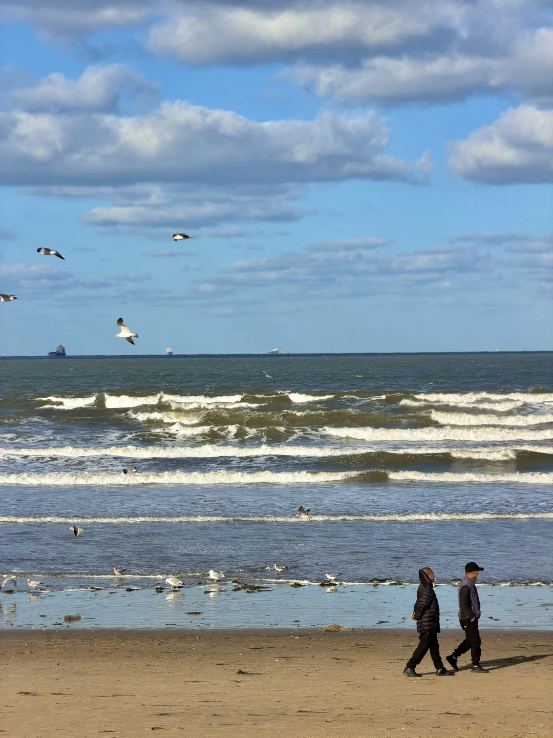 live实况🌊谁懂今天烟台海边的含金量！！！