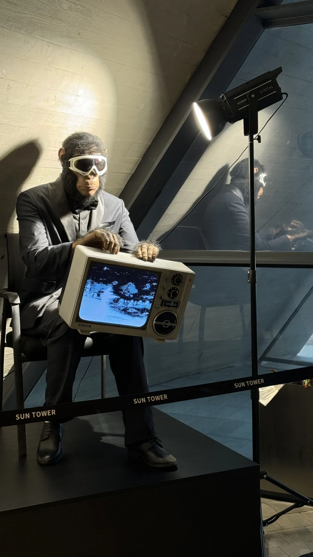 欢迎来到山东烟台🍂