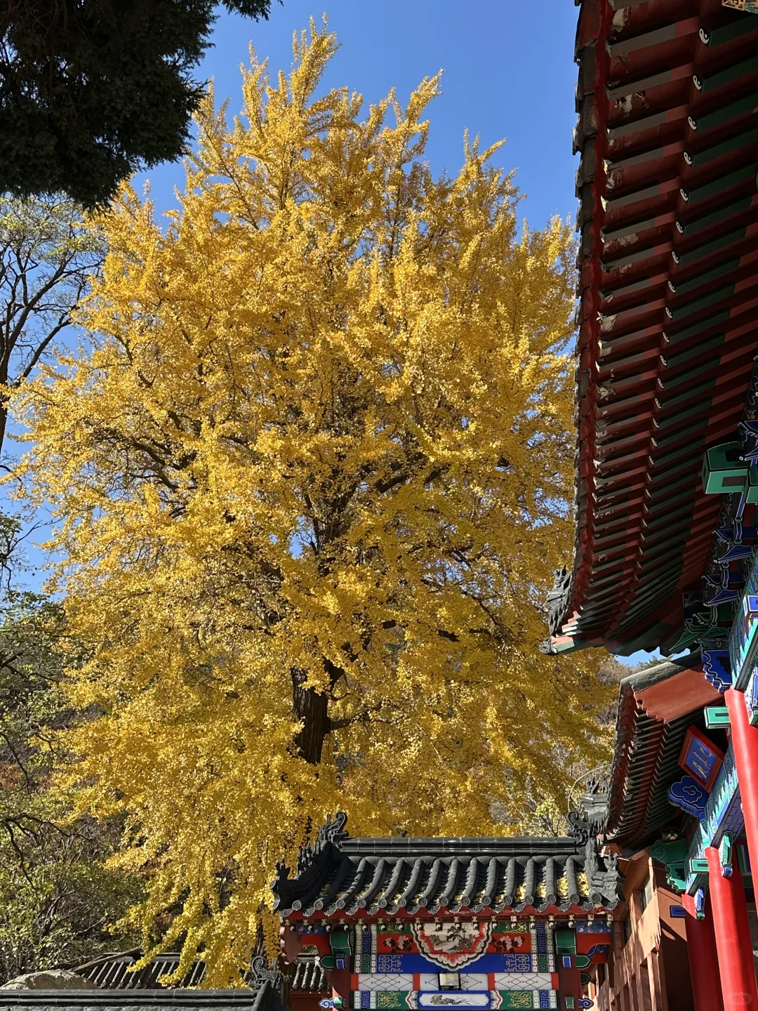 烟台！我们有自己的千里江山图（最后！！！！！！