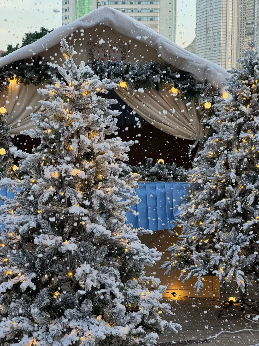 Naturing｜空间 ｜圣诞 烟台初雪