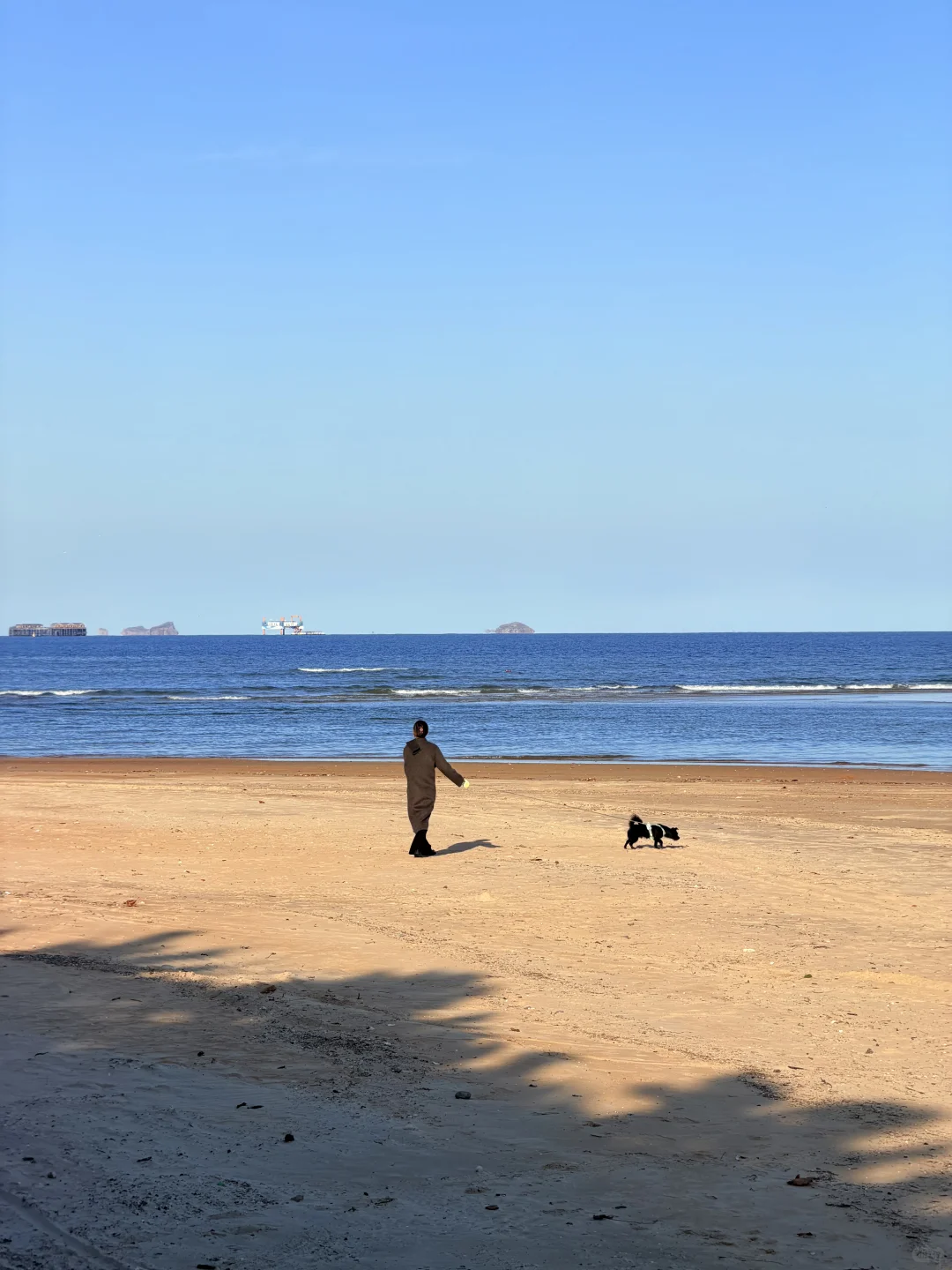 我他妈的又一个人来烟台海边看海（11.10号）