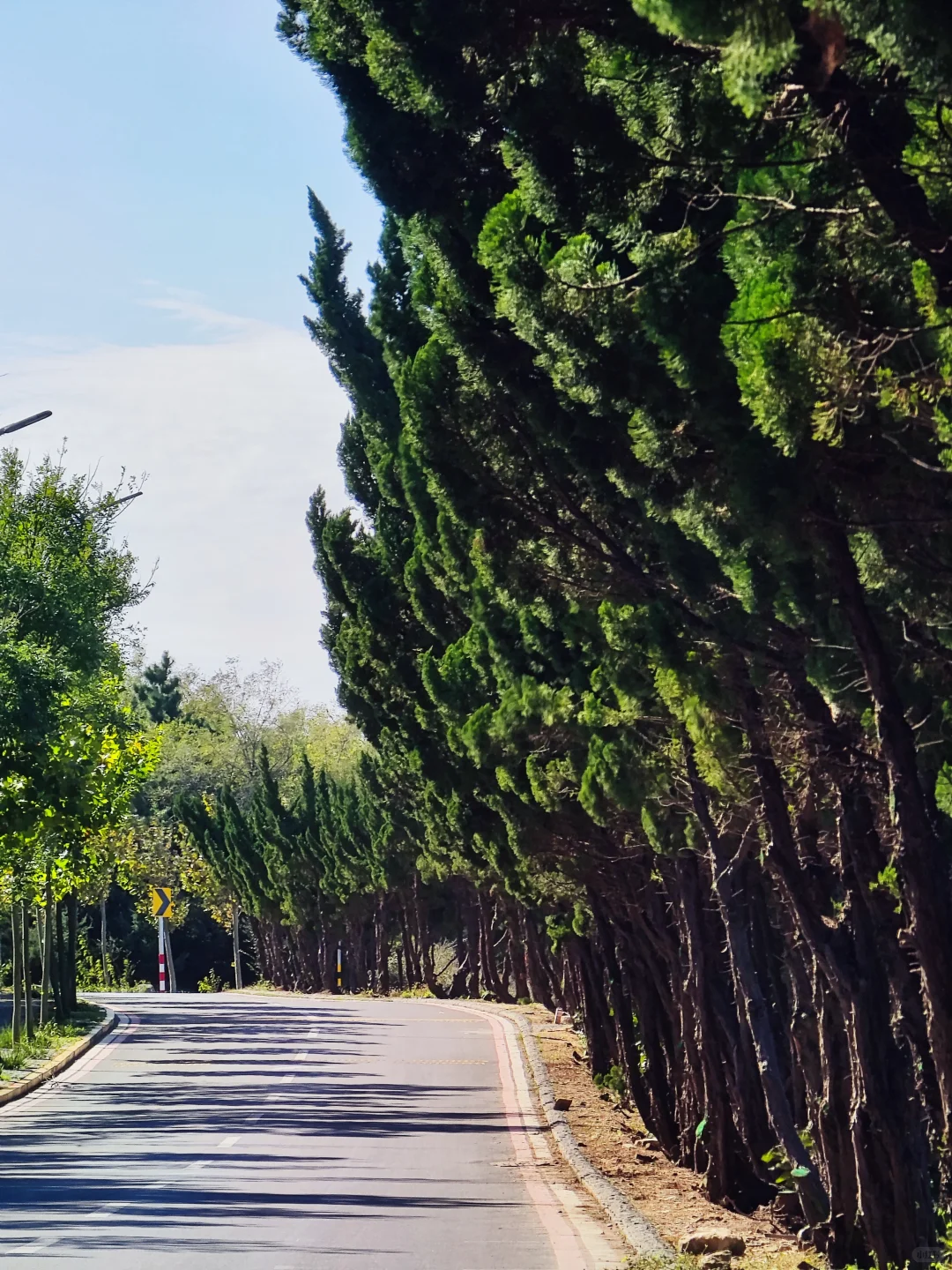 烟台，21点之后就在宾馆了