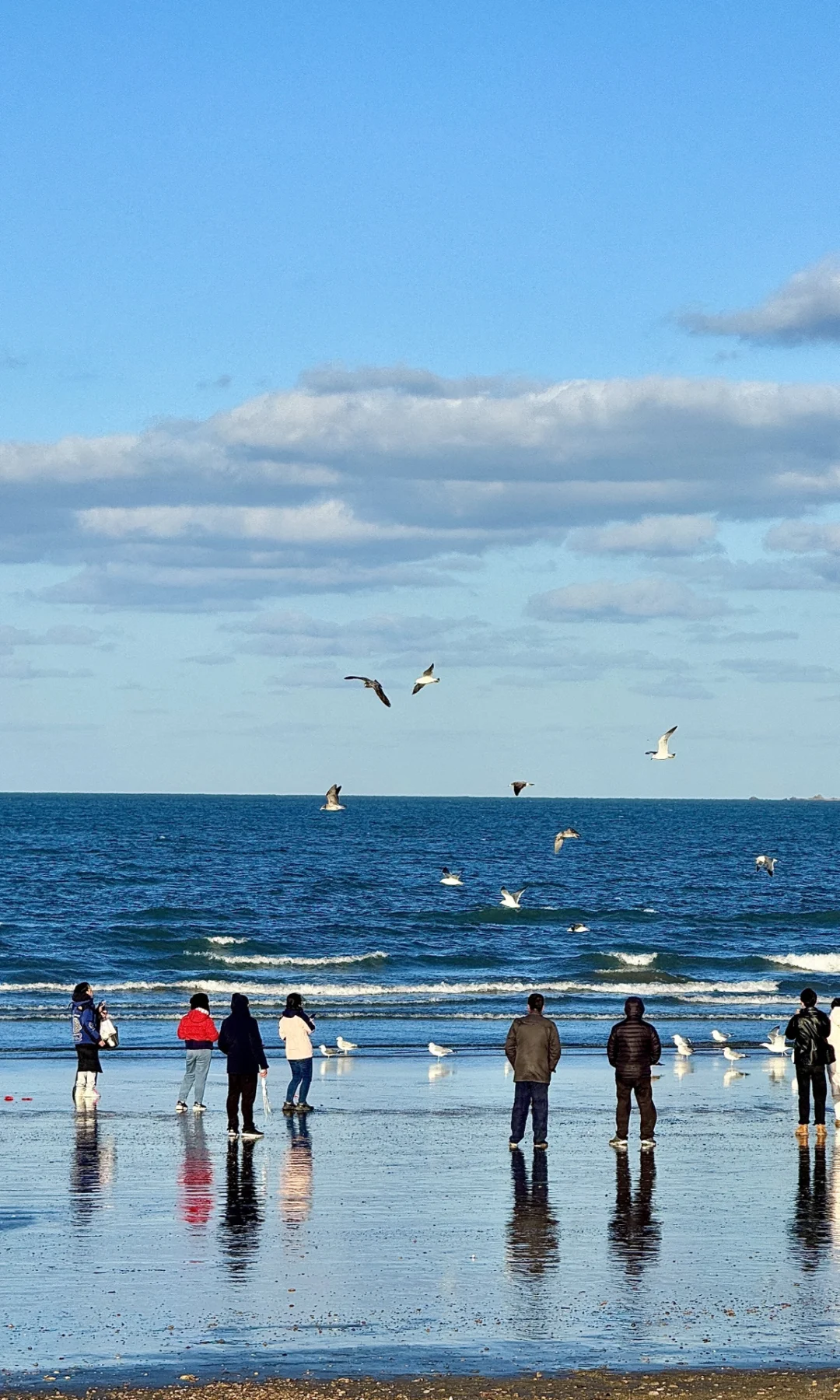 🌊已经开始期待 冬天的烟台！