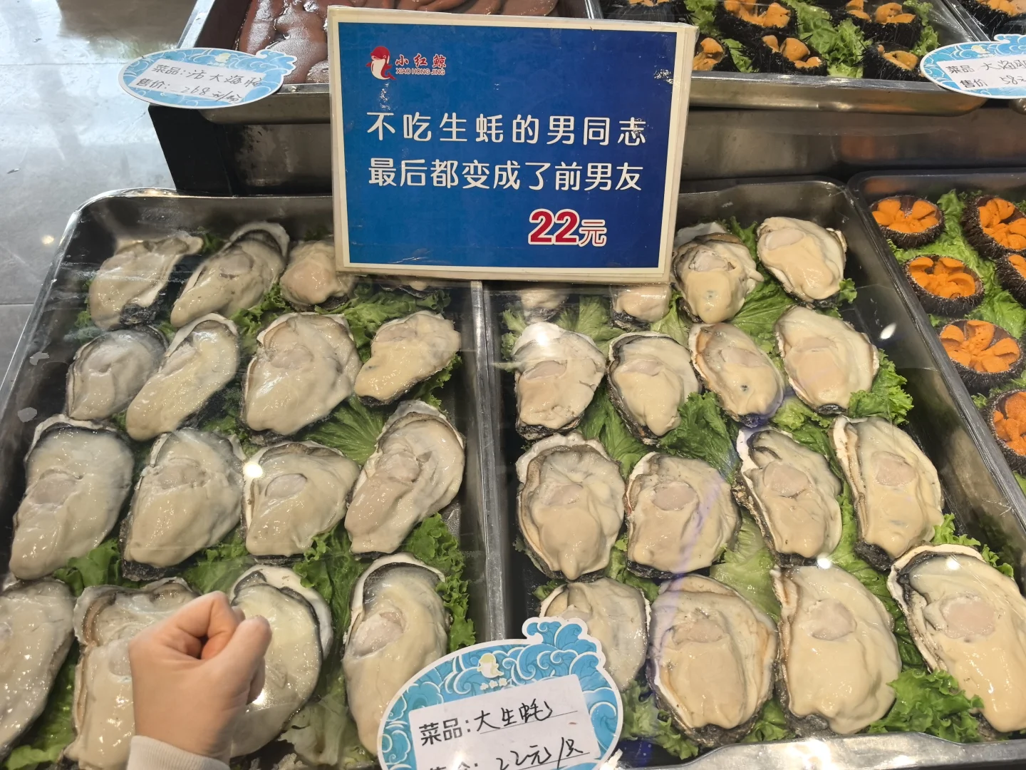 十三太保在烟台